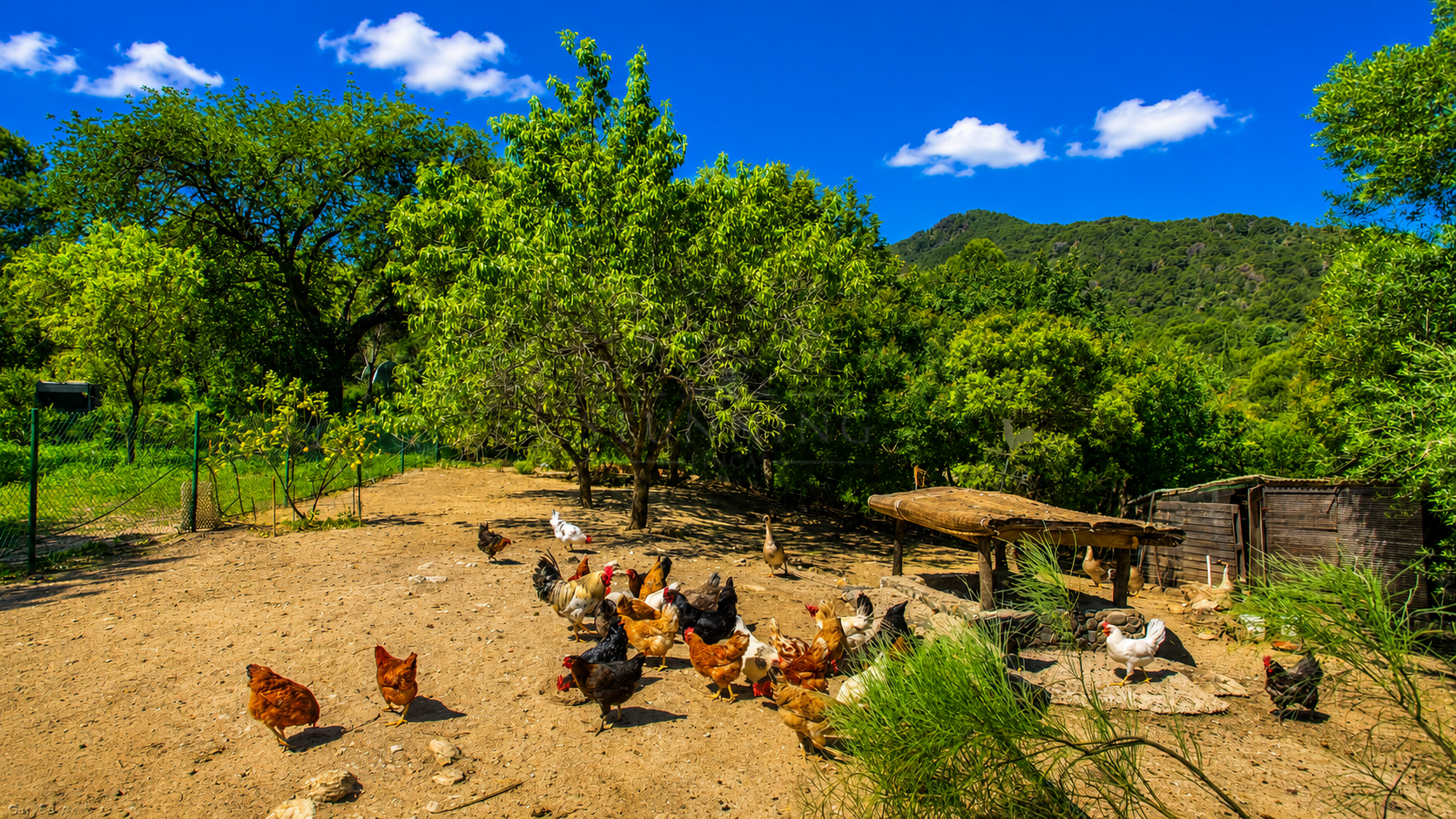 Finca en Gaucin