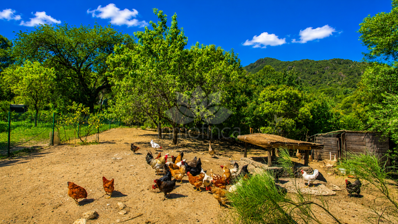 Finca in Gaucin