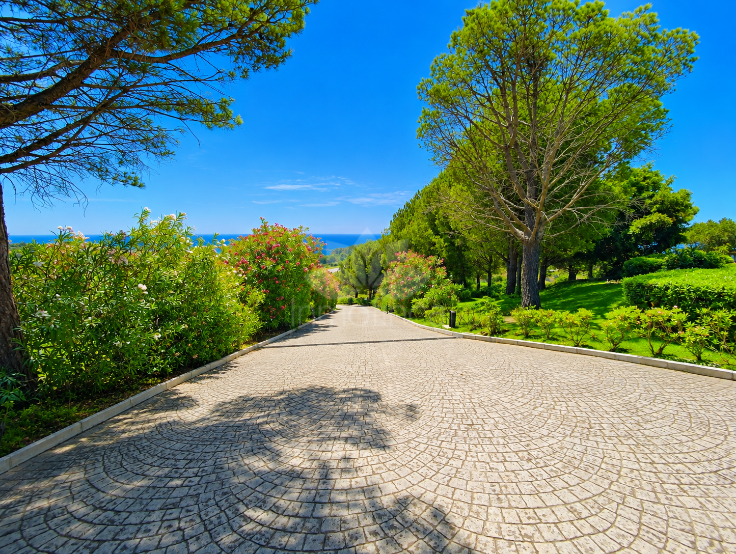 Finca in Estepona