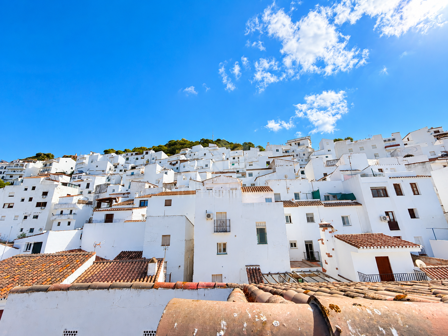House in Casares Montaña, Casares