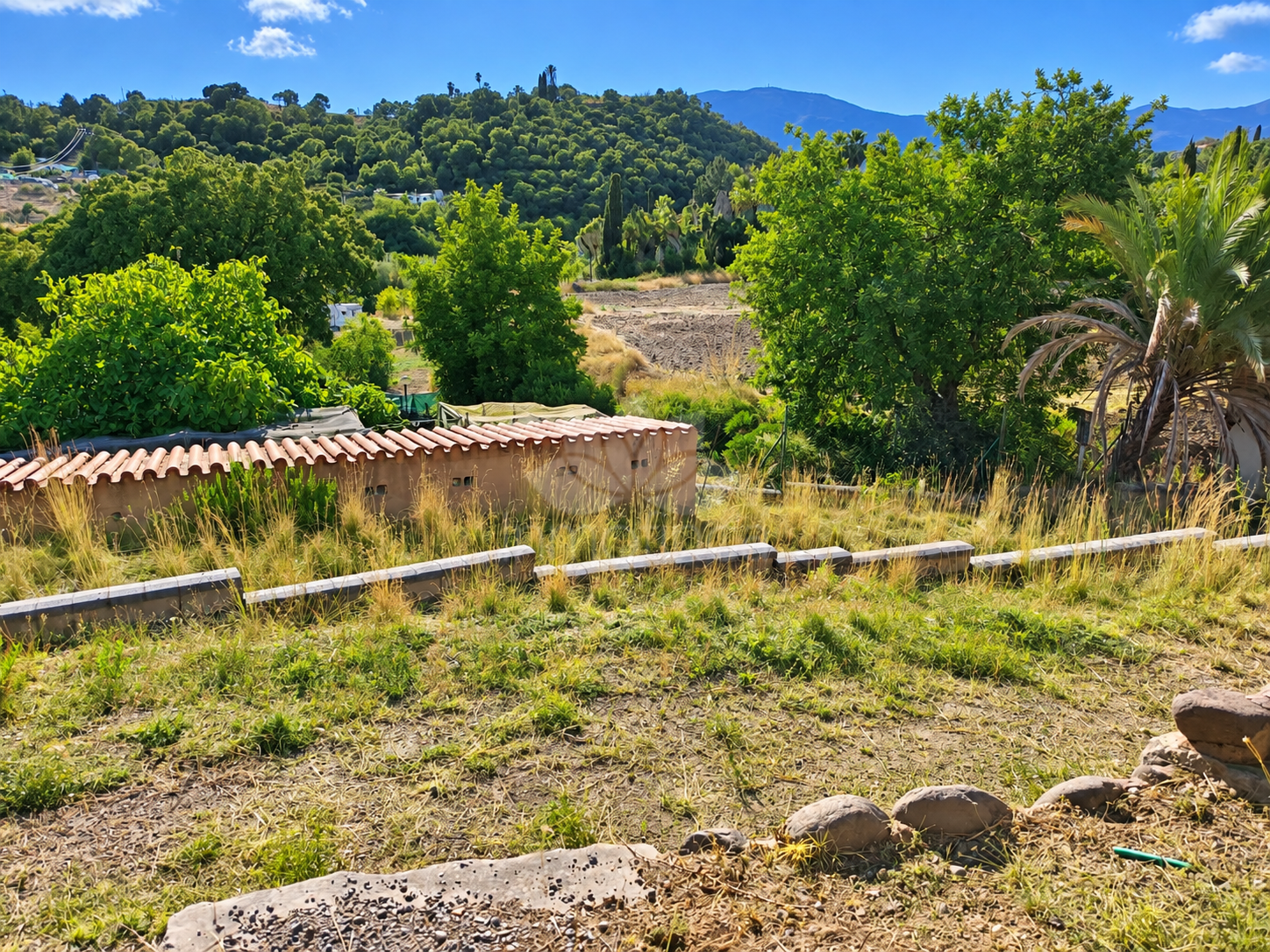Finca en Estepona