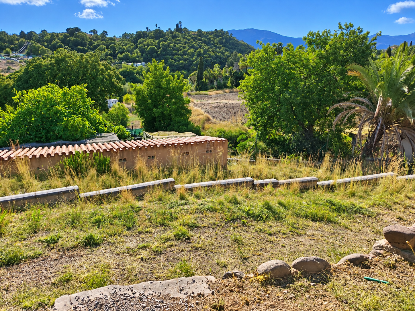 Finca in Estepona