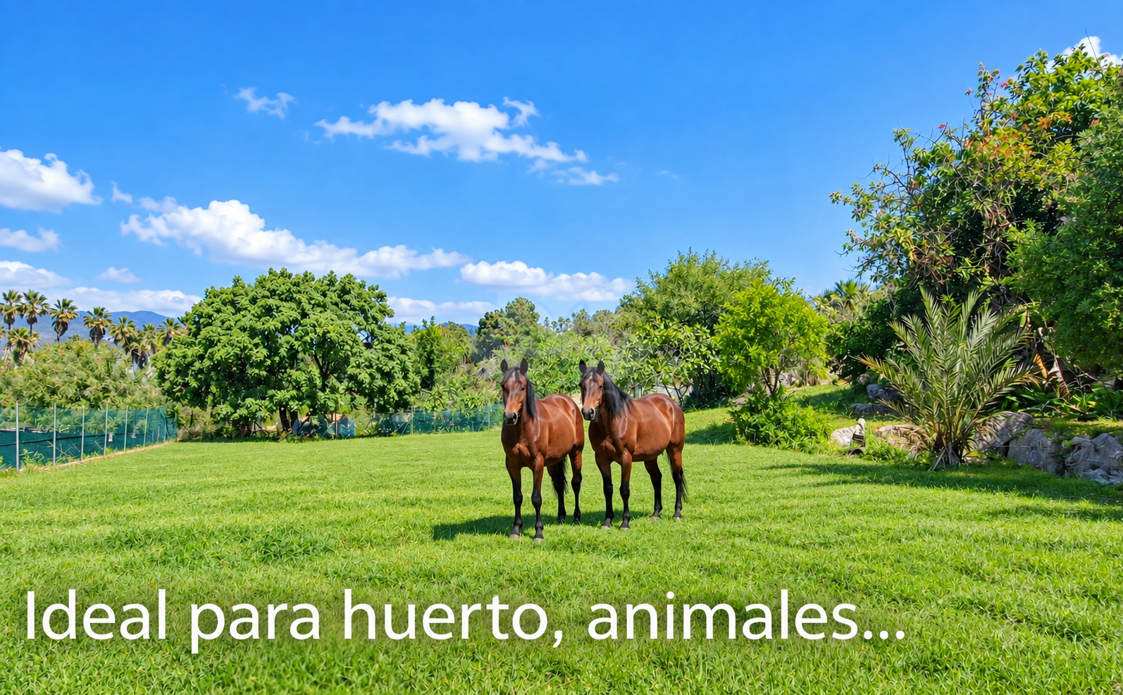 Finca en Estepona