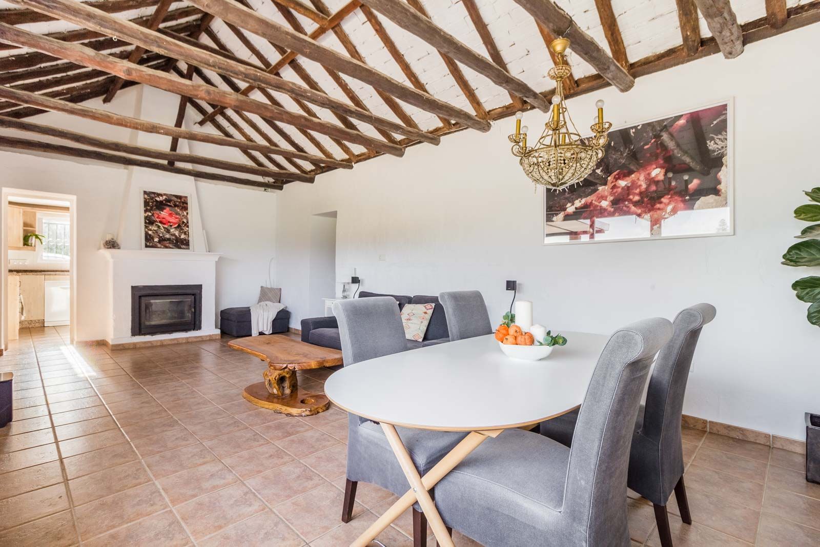 Finca in Estepona