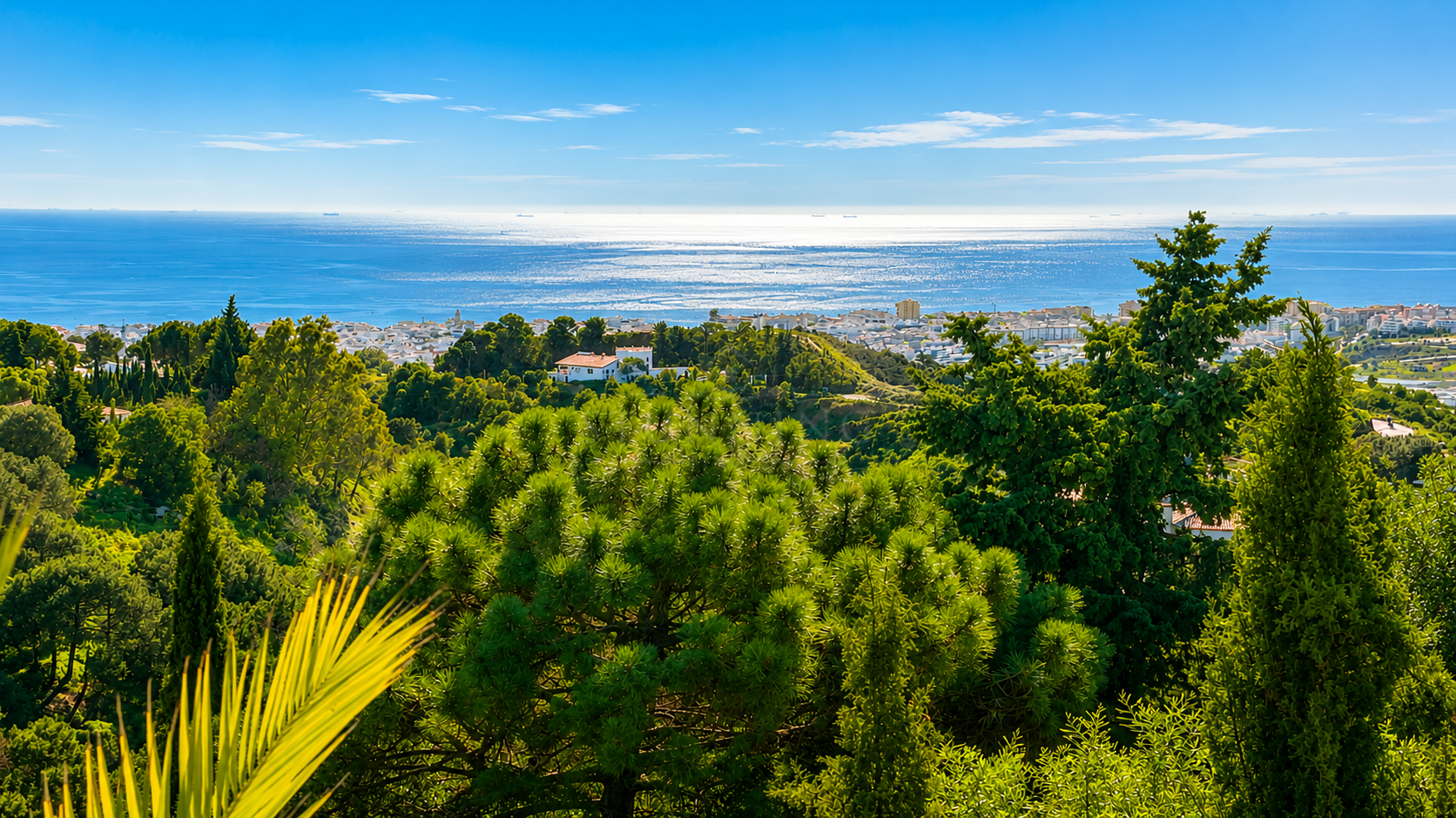 Finca in Estepona