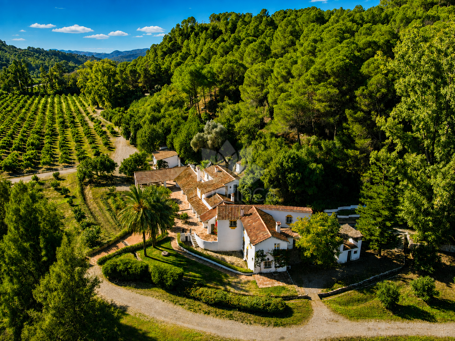 Finca in Casares