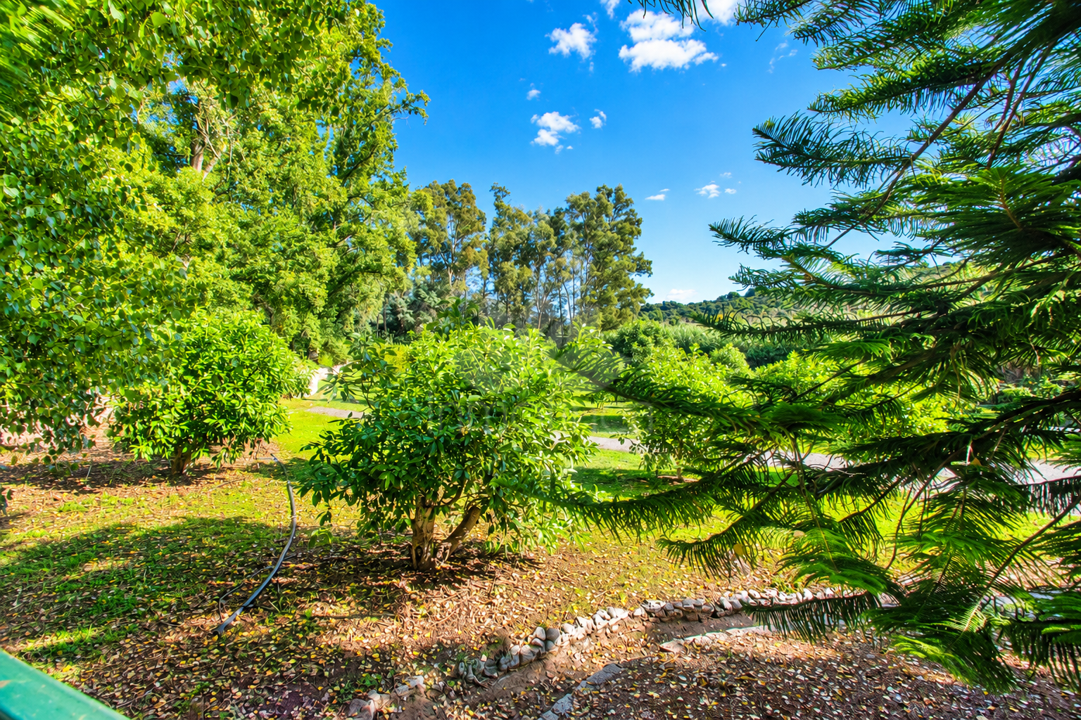Finca in Casares