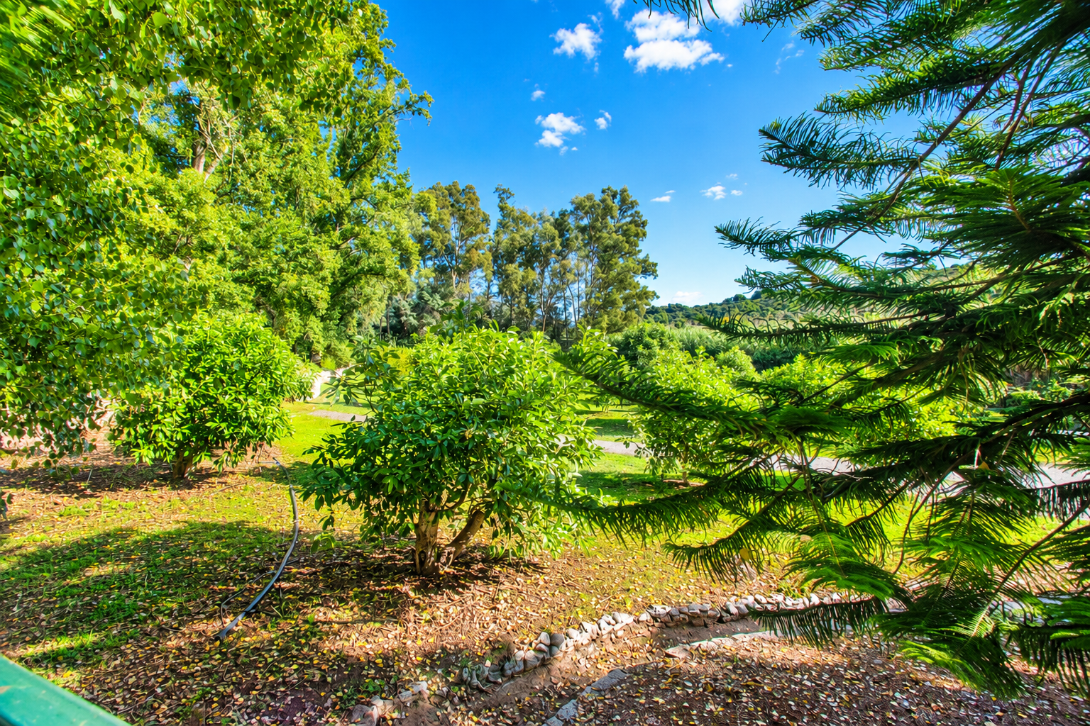 Finca in Casares