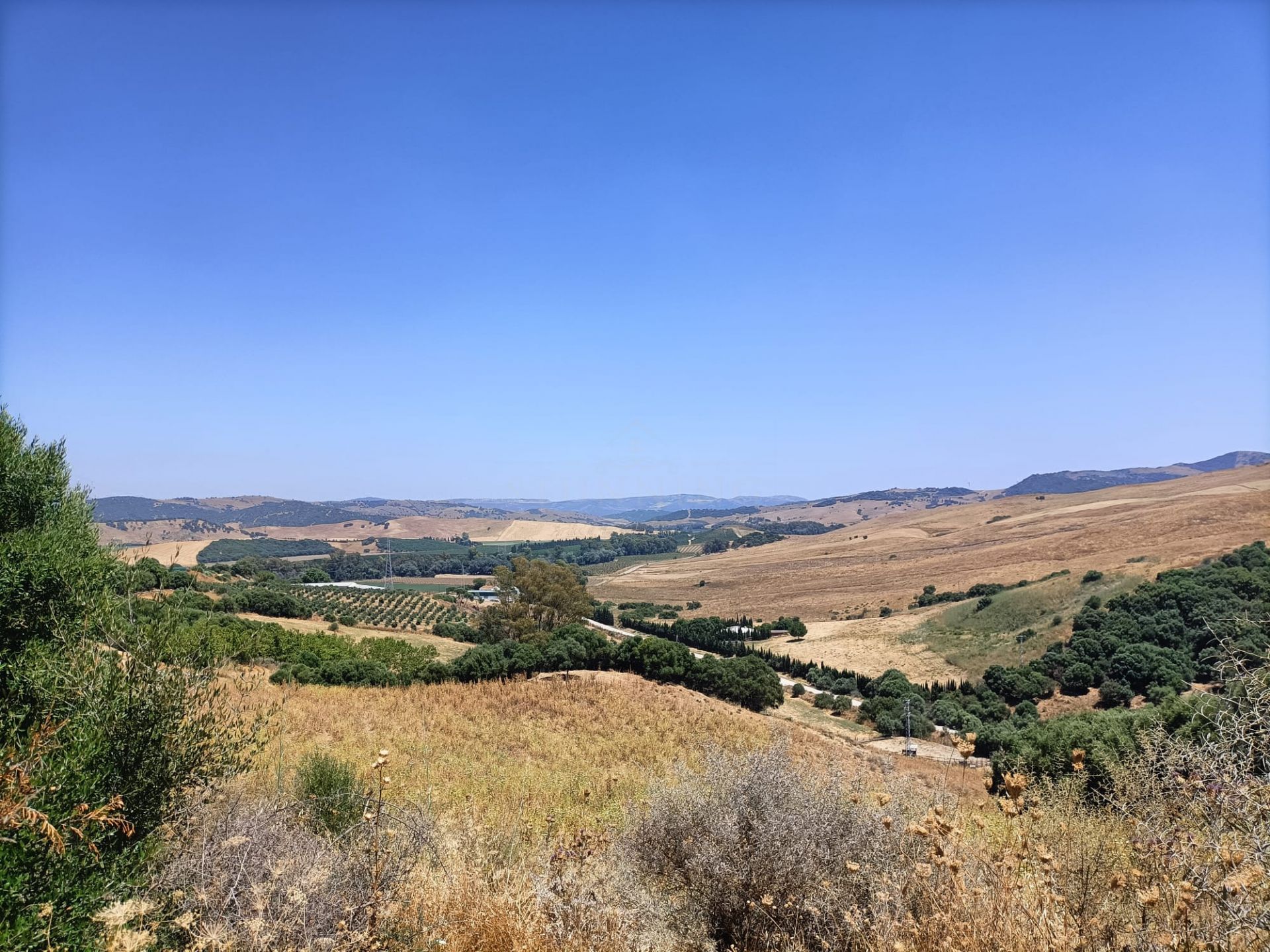 Finca in Jimena de La Frontera