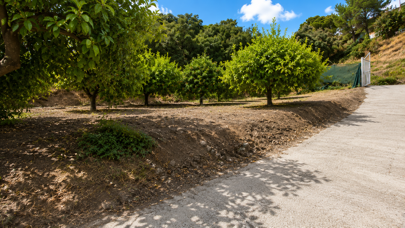 Finca en Estepona