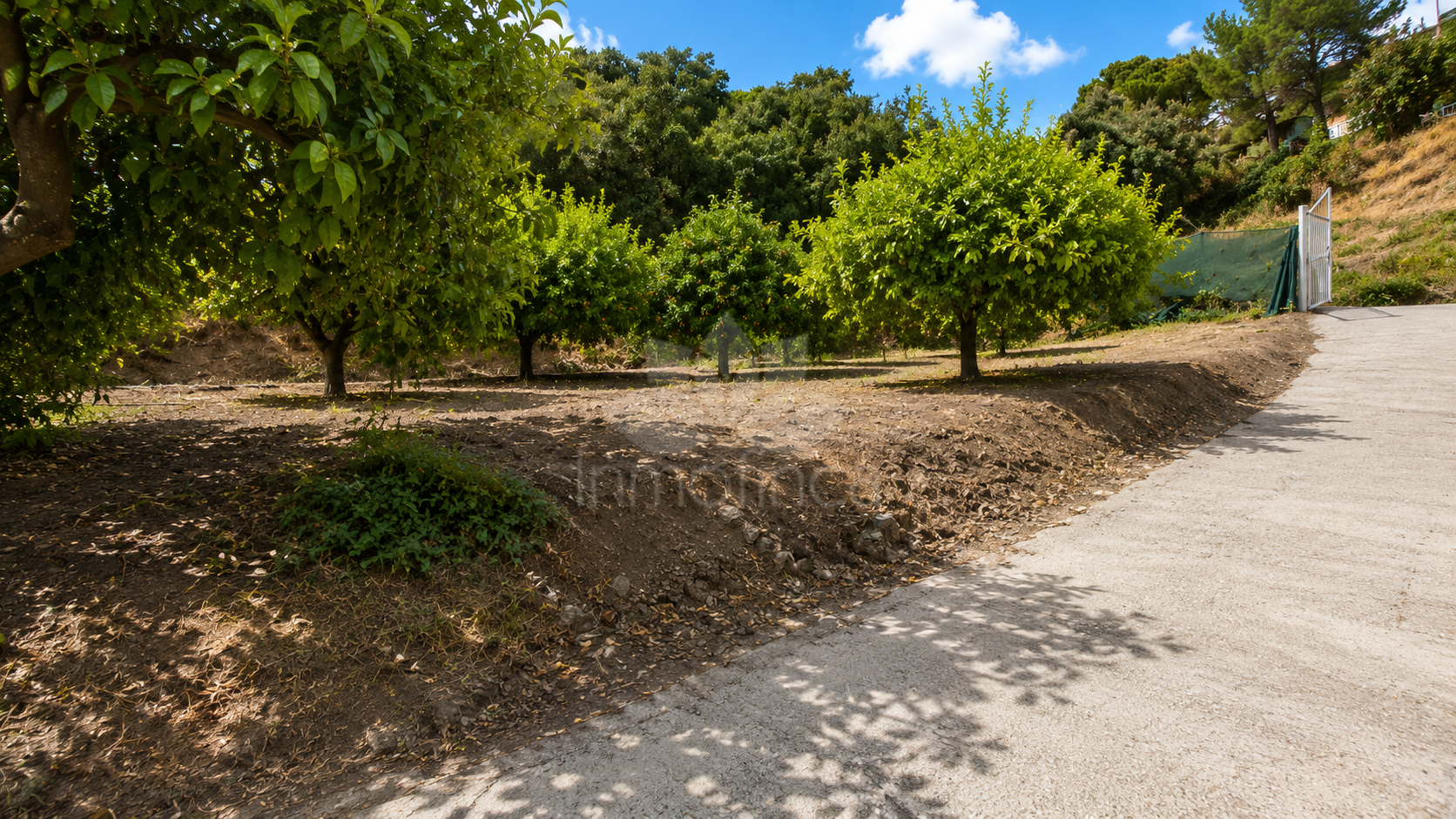 Finca en Estepona