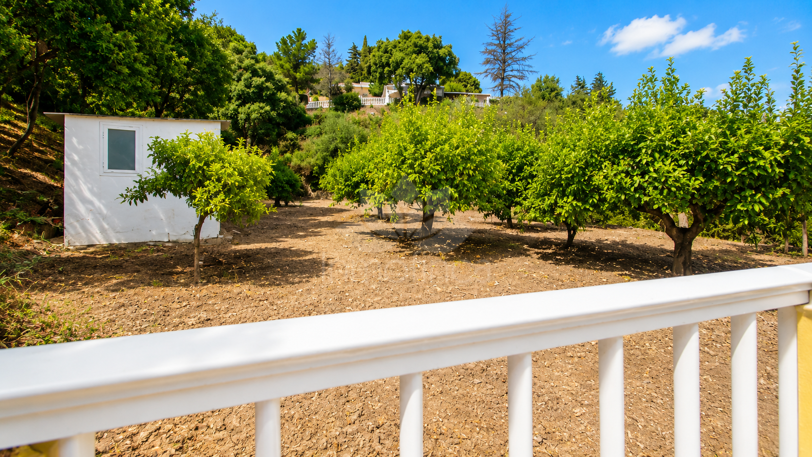 Finca en Estepona