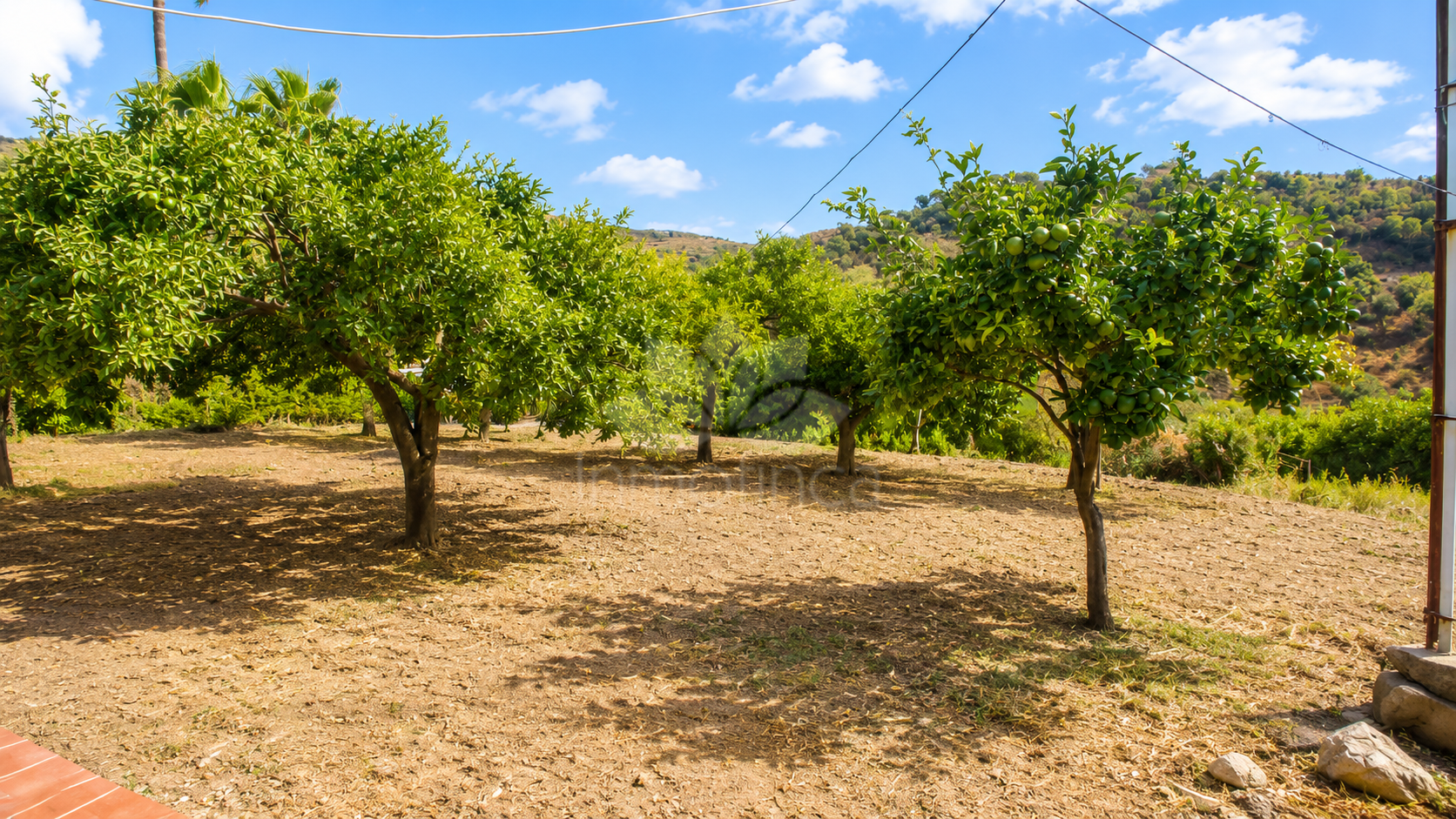 Finca en Estepona