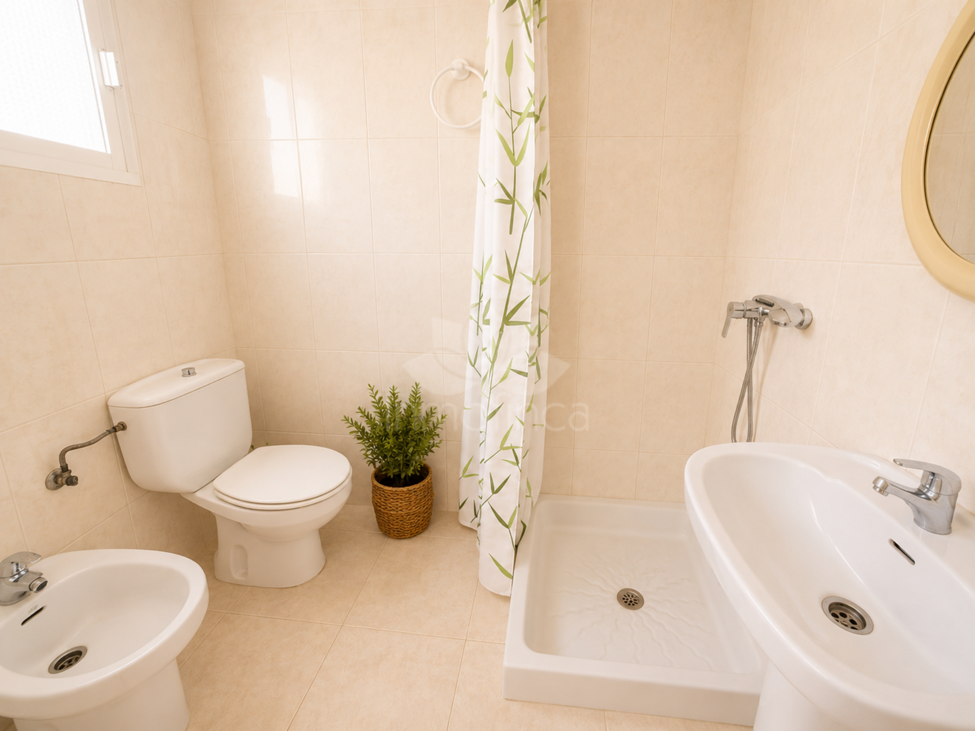 House in Casares Montaña, Casares