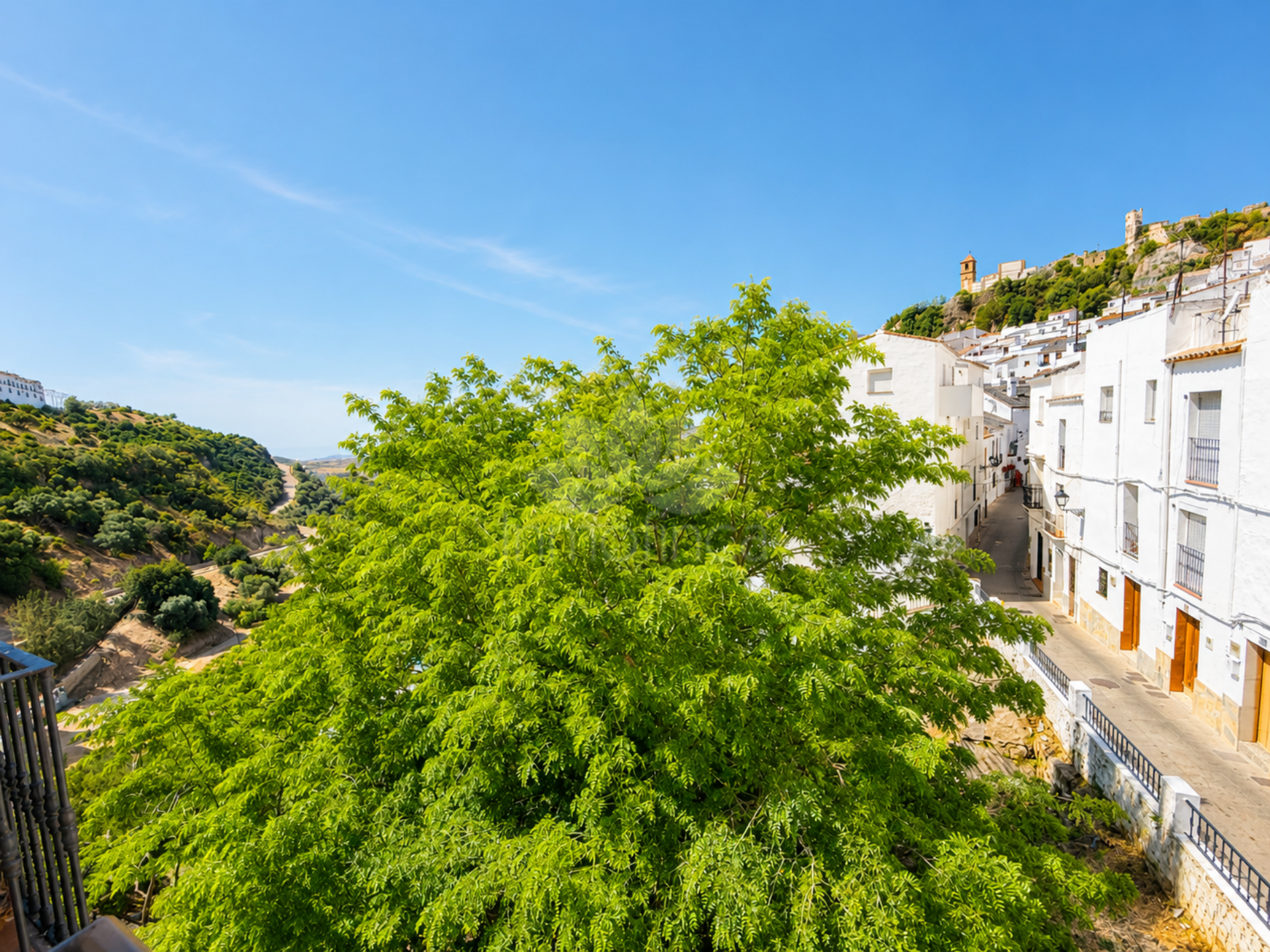 House in Casares Montaña, Casares