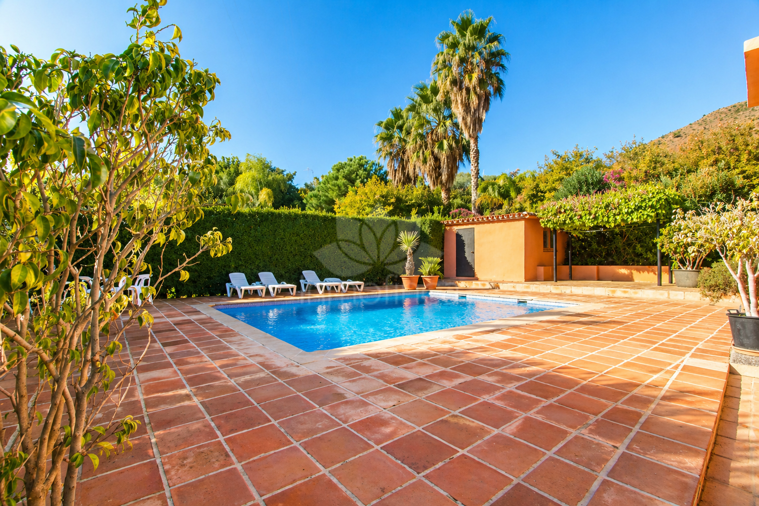 Finca en Estepona