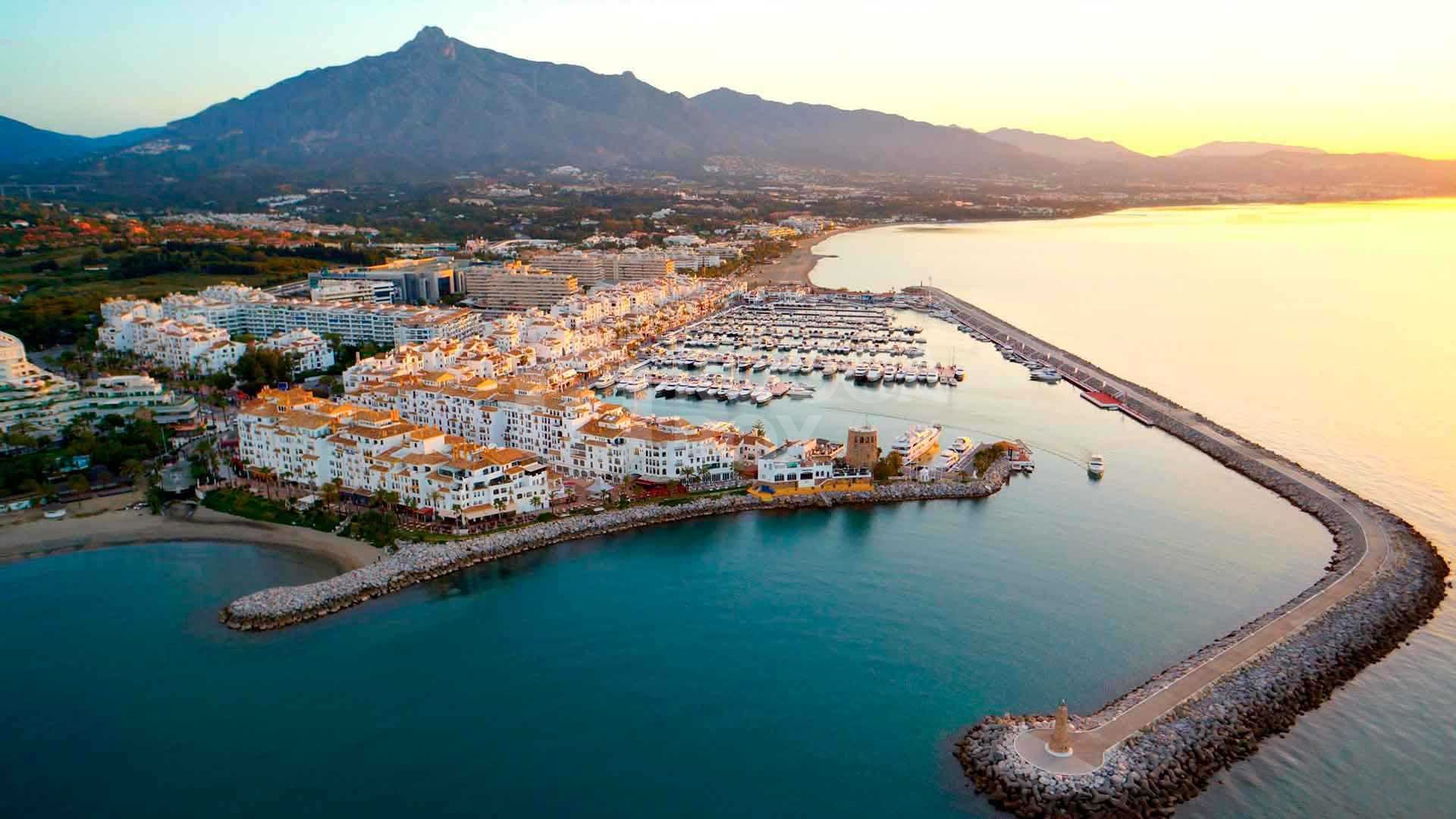 Prime Office Spaces in Puerto Banus – Exceptional Commercial Opportunity