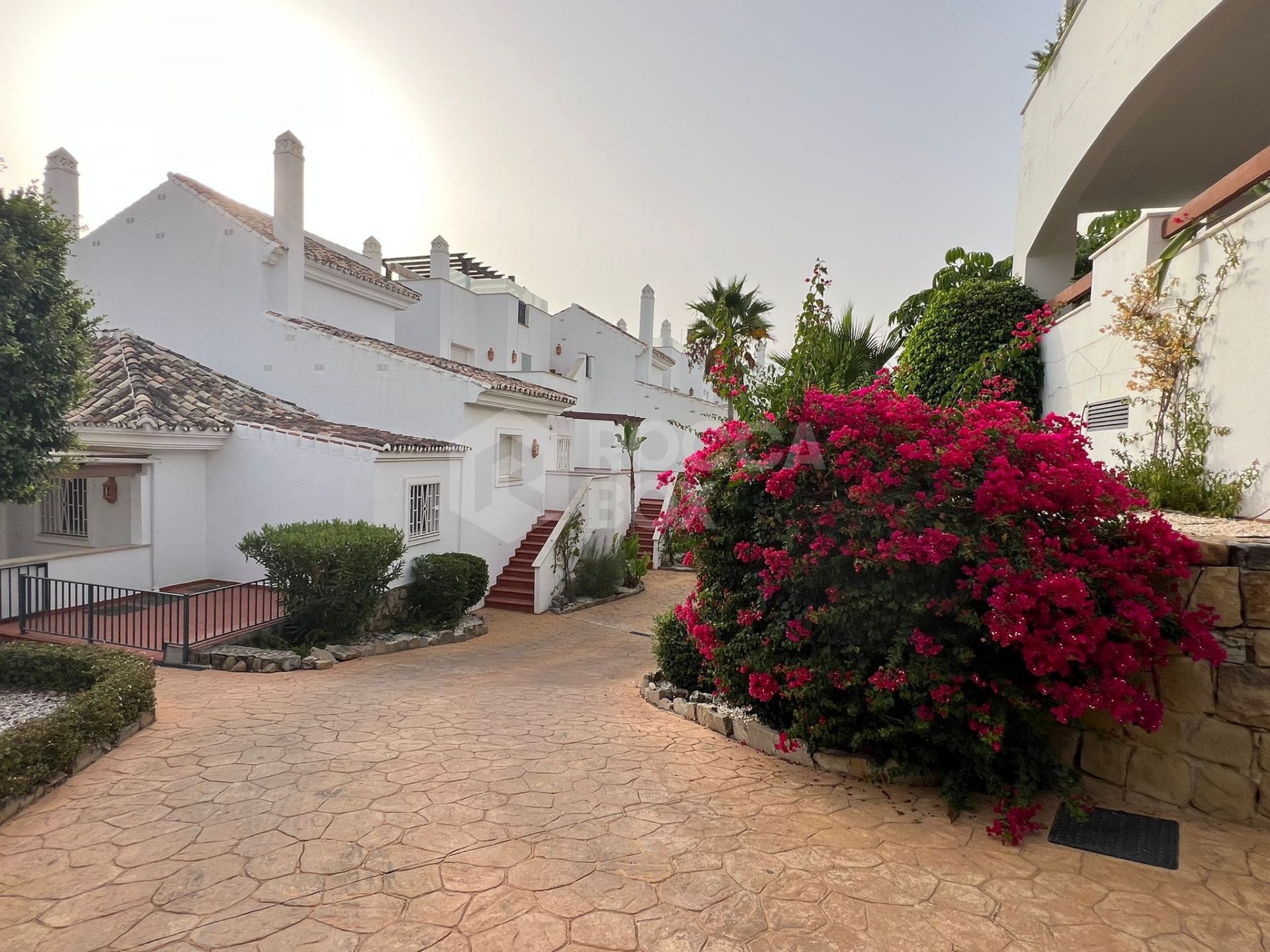 Two-Bedroom Apartment in Aloha Royal