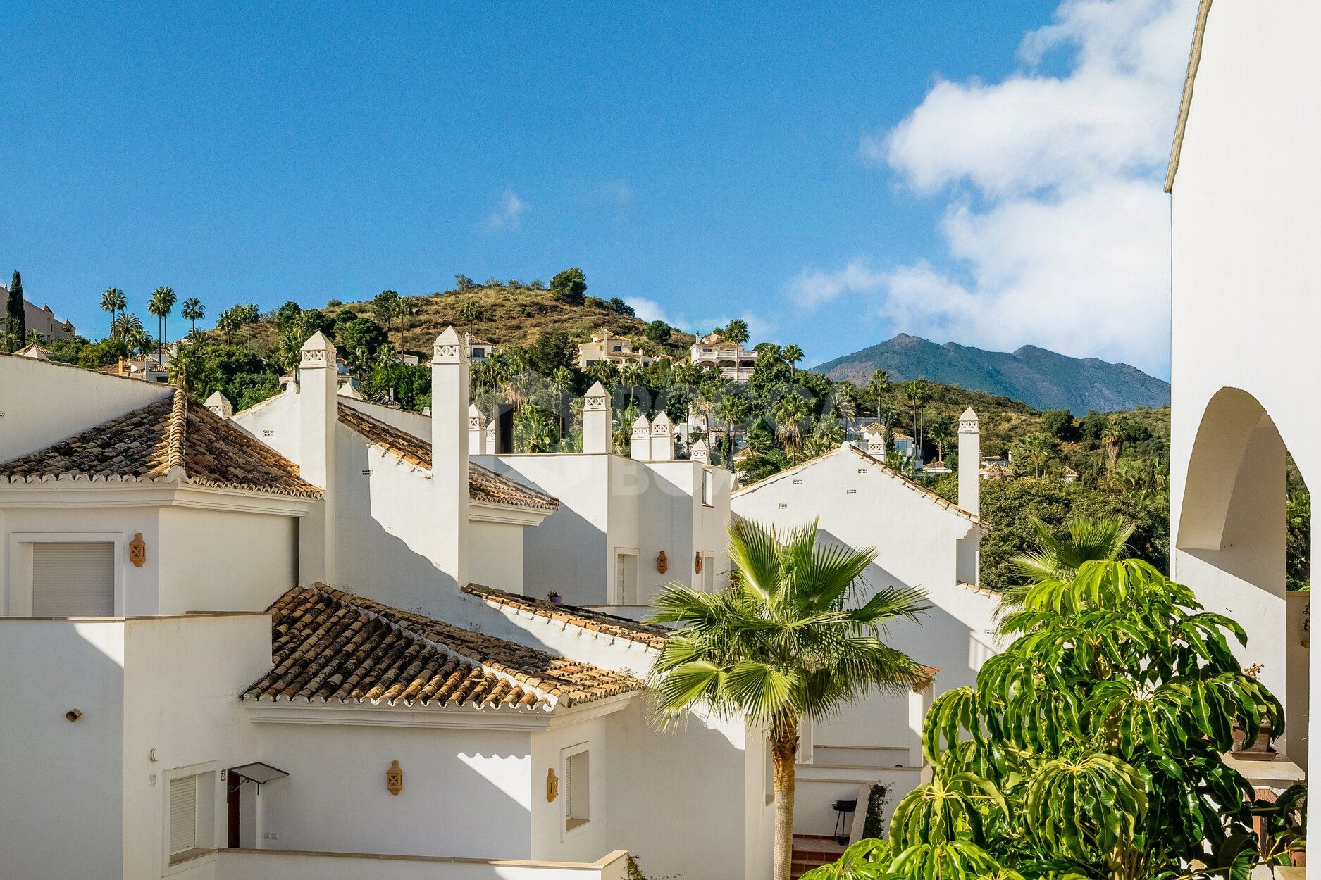 Two-Bedroom Apartment in Aloha Royal