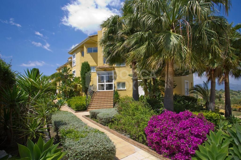 3-Bedroom Home with Terrace, Balcony, Parking & Pool