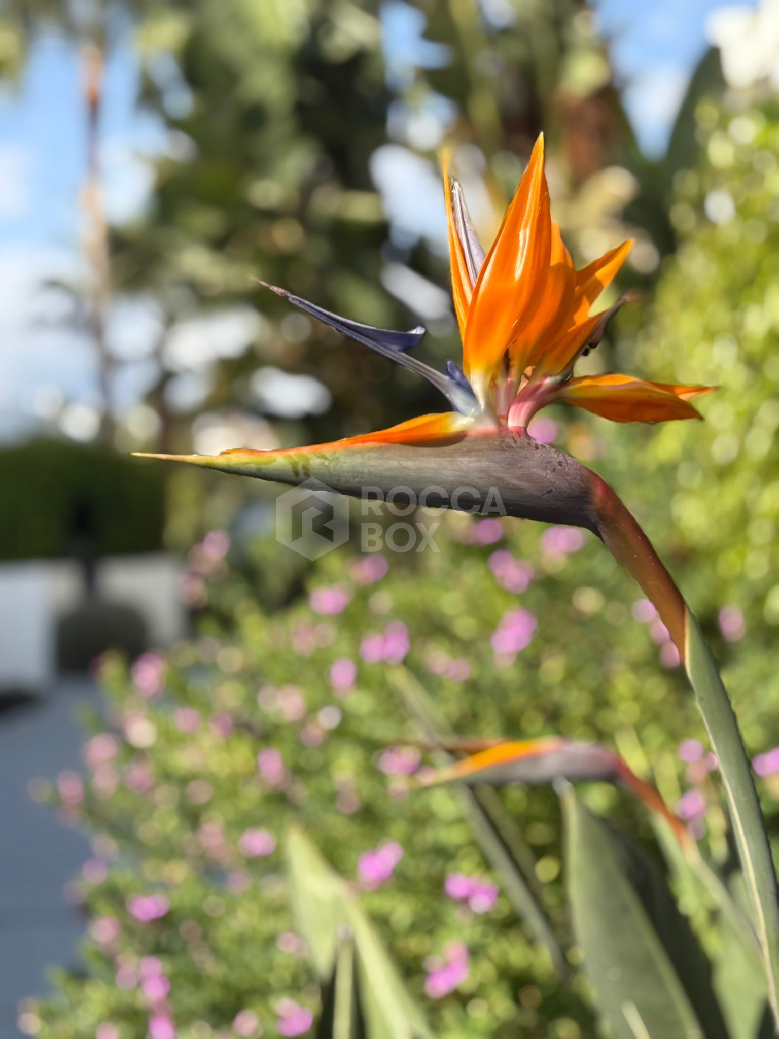 BEAUTIFUL 2 BED APARTMENT, LA CONCHA RESINA GOLF, ESTEPONA