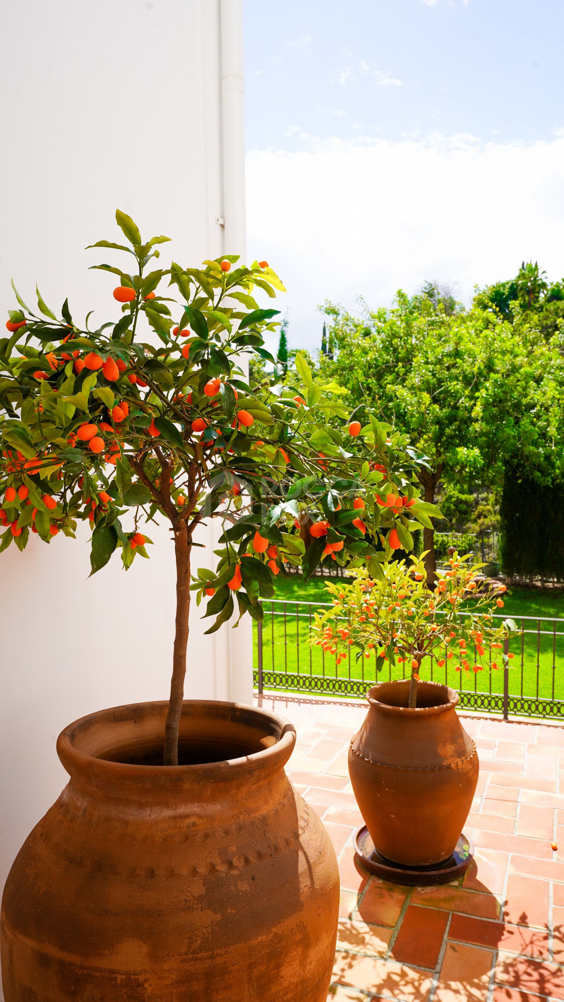 Casa Mar y Cielo - Traditional Villa in El Madroñal for Long Term Rent.