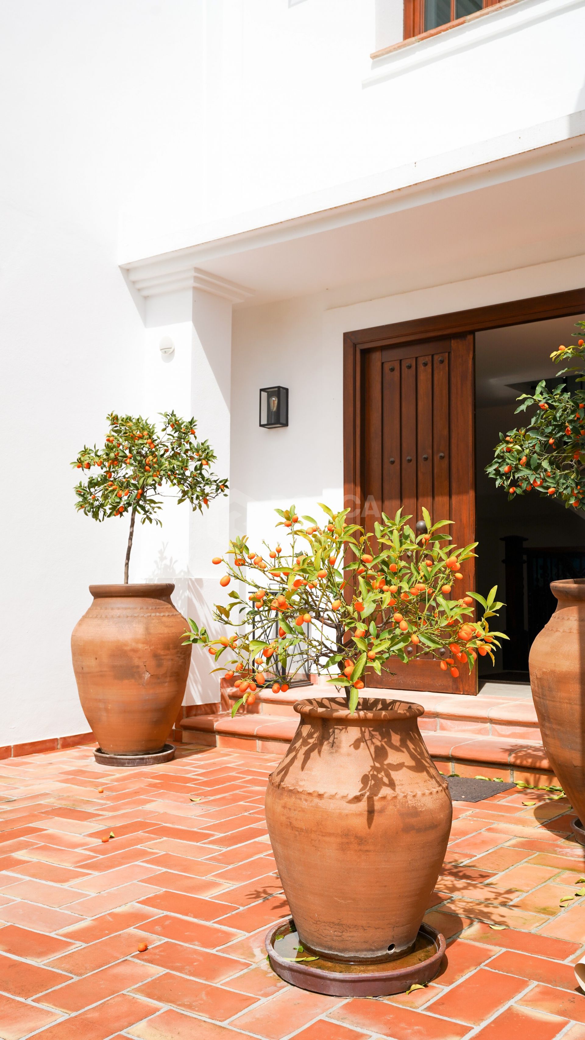 Casa Mar y Cielo - Traditional Villa in El Madroñal for Long Term Rent.