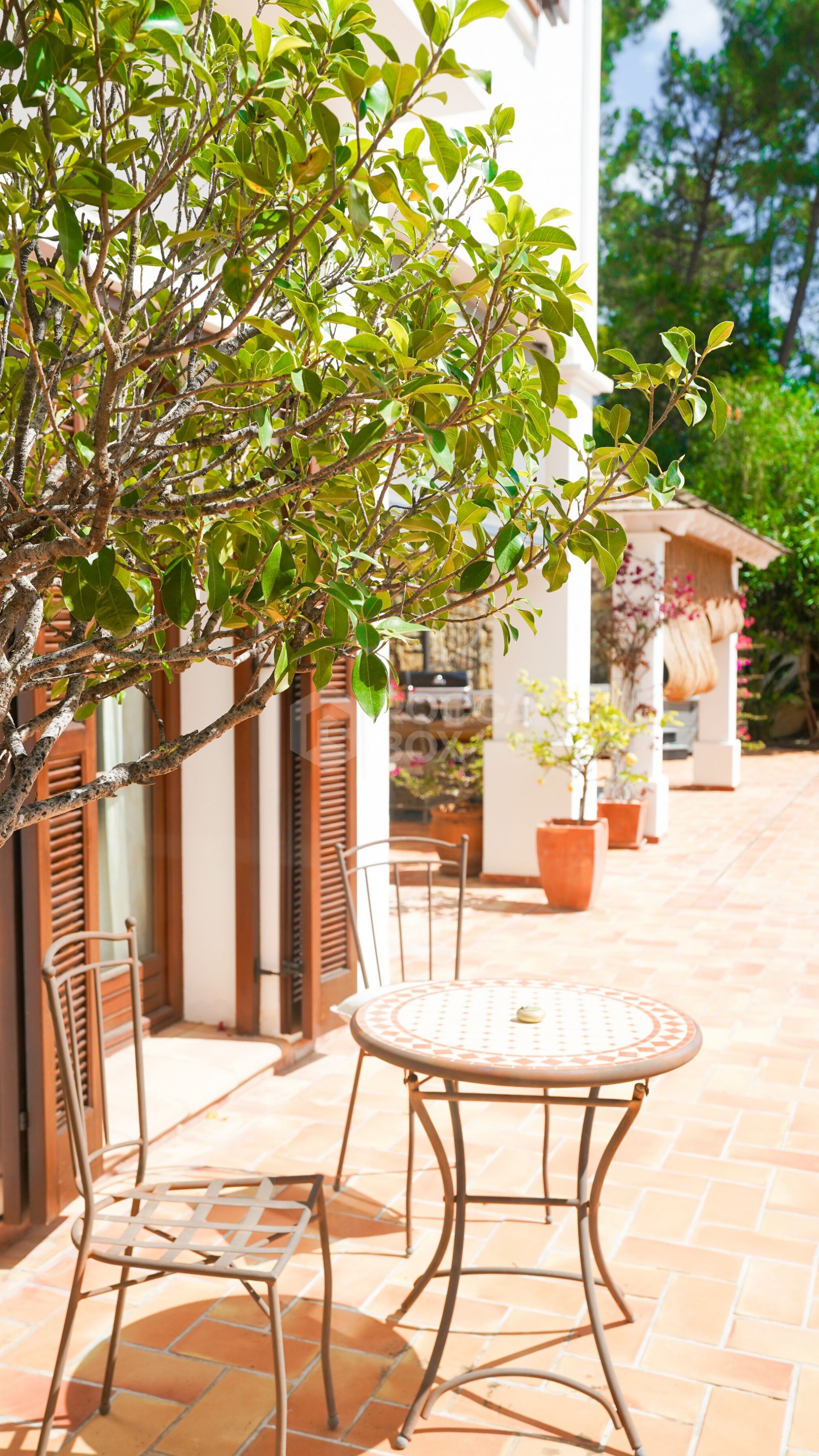 Casa Mar y Cielo - Traditional Villa in El Madroñal for Long Term Rent.
