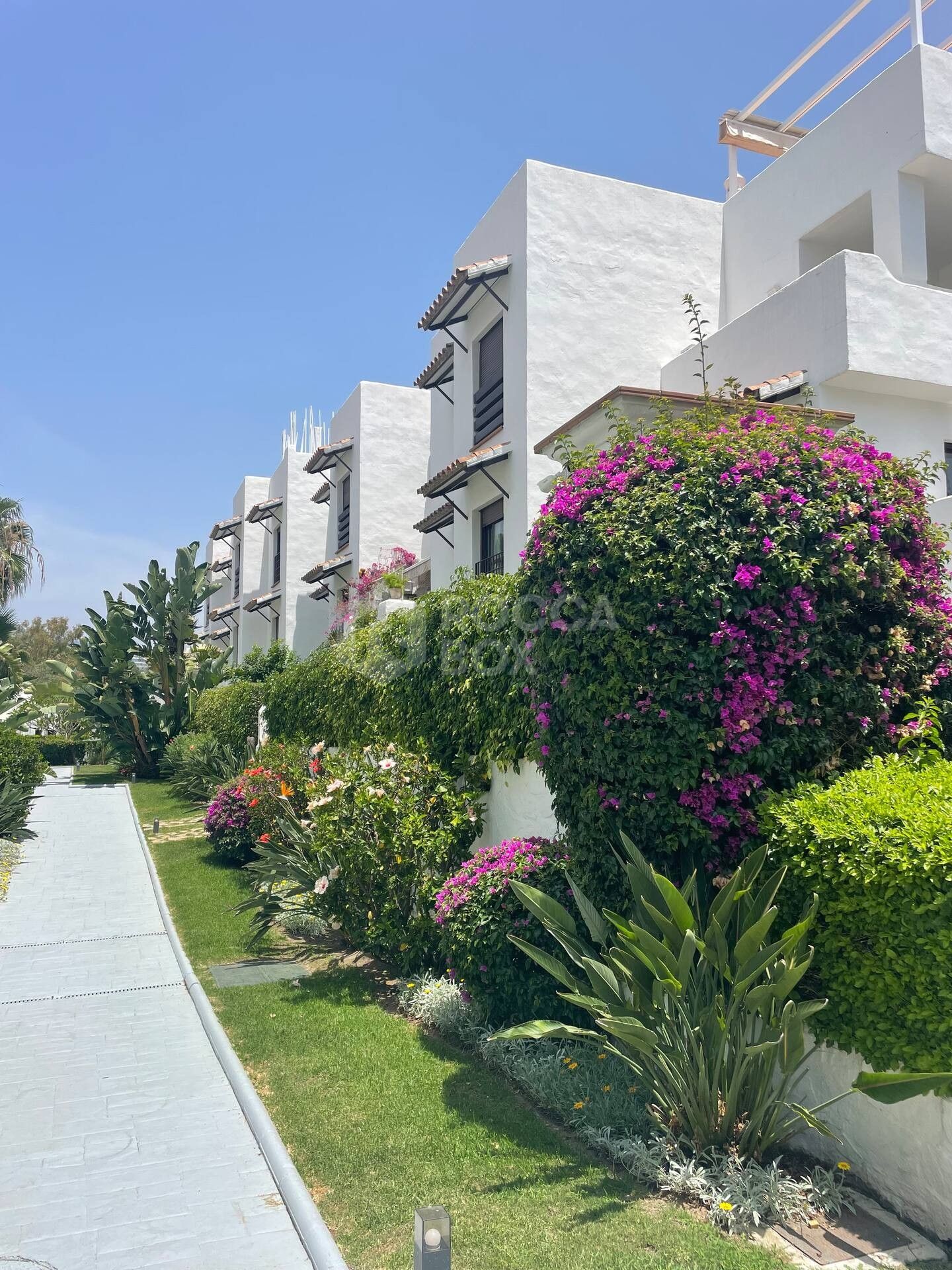 Exclusive 3 Bedroom Apartment with Pool and Pista de Pádel.