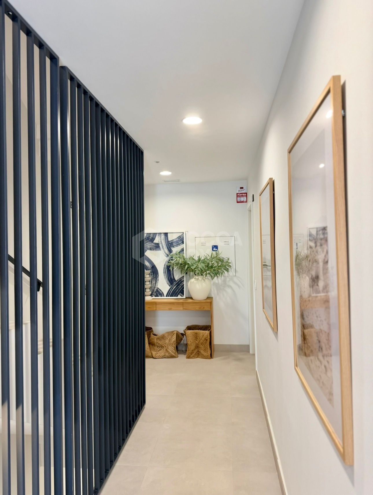 Brand New 3-Bedroom Smart Apartment for Rent in Belair, Estepon