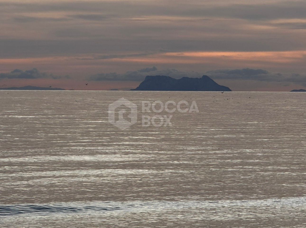 Brand New 3-Bedroom Smart Apartment for Rent in Belair, Estepon