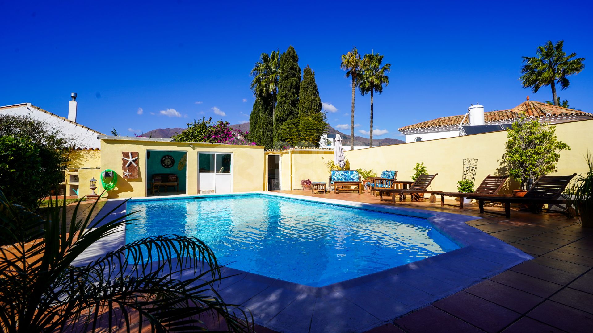 Charming Villa with Private Pool and Expansive Gardens in Estepona