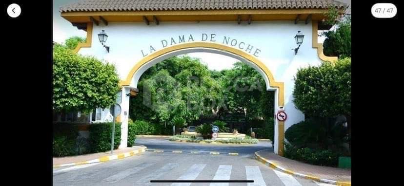 Elegant Beachfront Apartment for Rent in La Dama de Noche