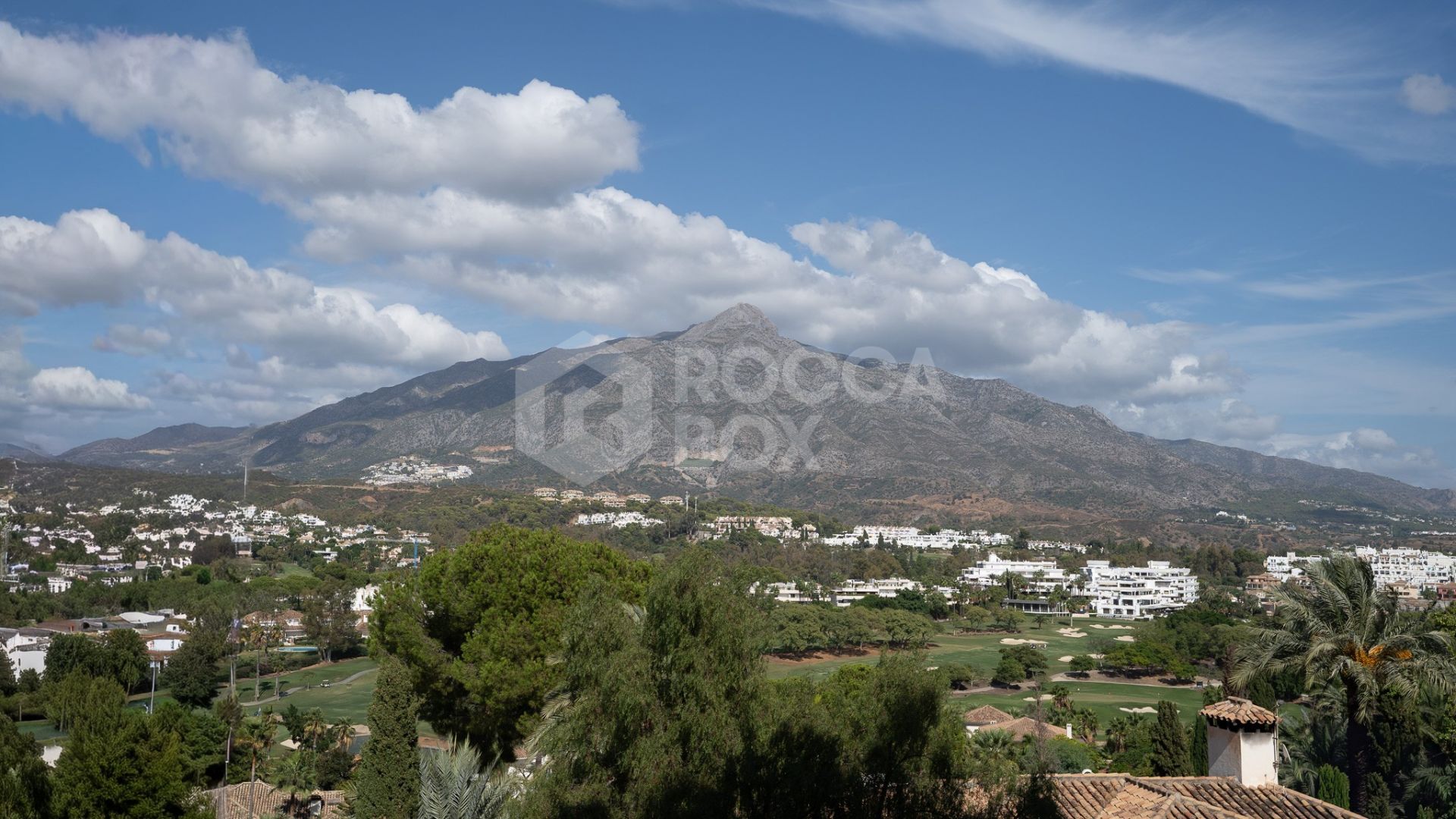 Amazing Apartment in Ground Floor 3 bedrooms