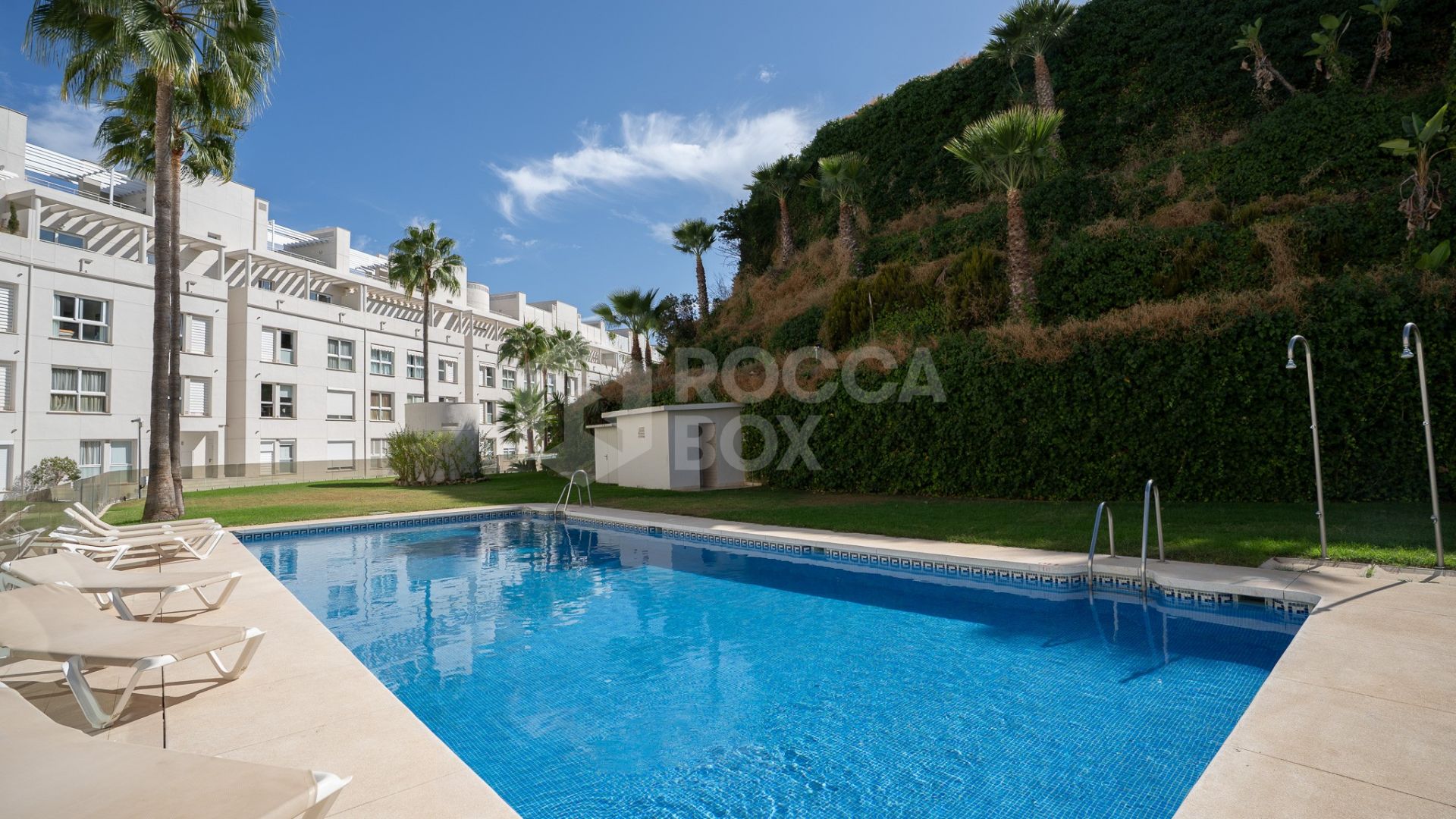 Amazing Apartment in Ground Floor 3 bedrooms