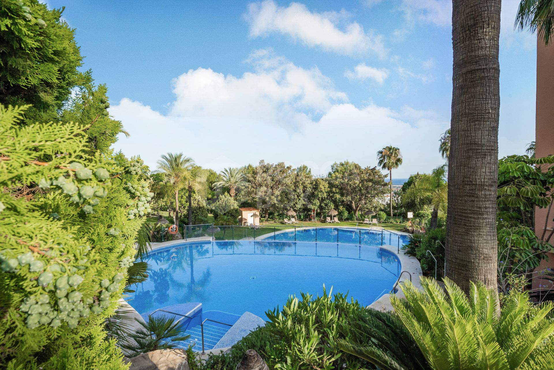 Luxury Apartment in Golf Club Marbella