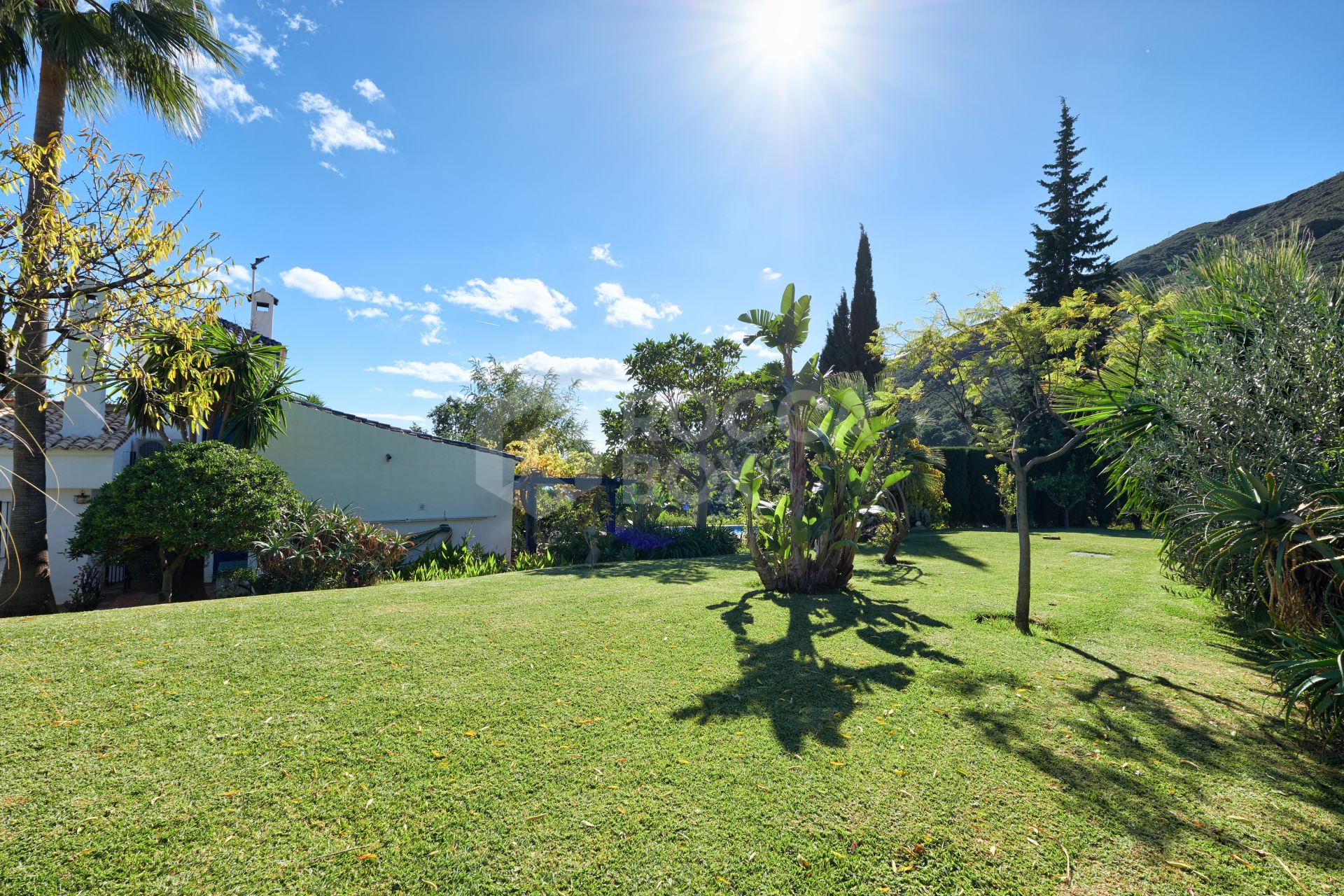 Finca in the Mountainside of Los Reales