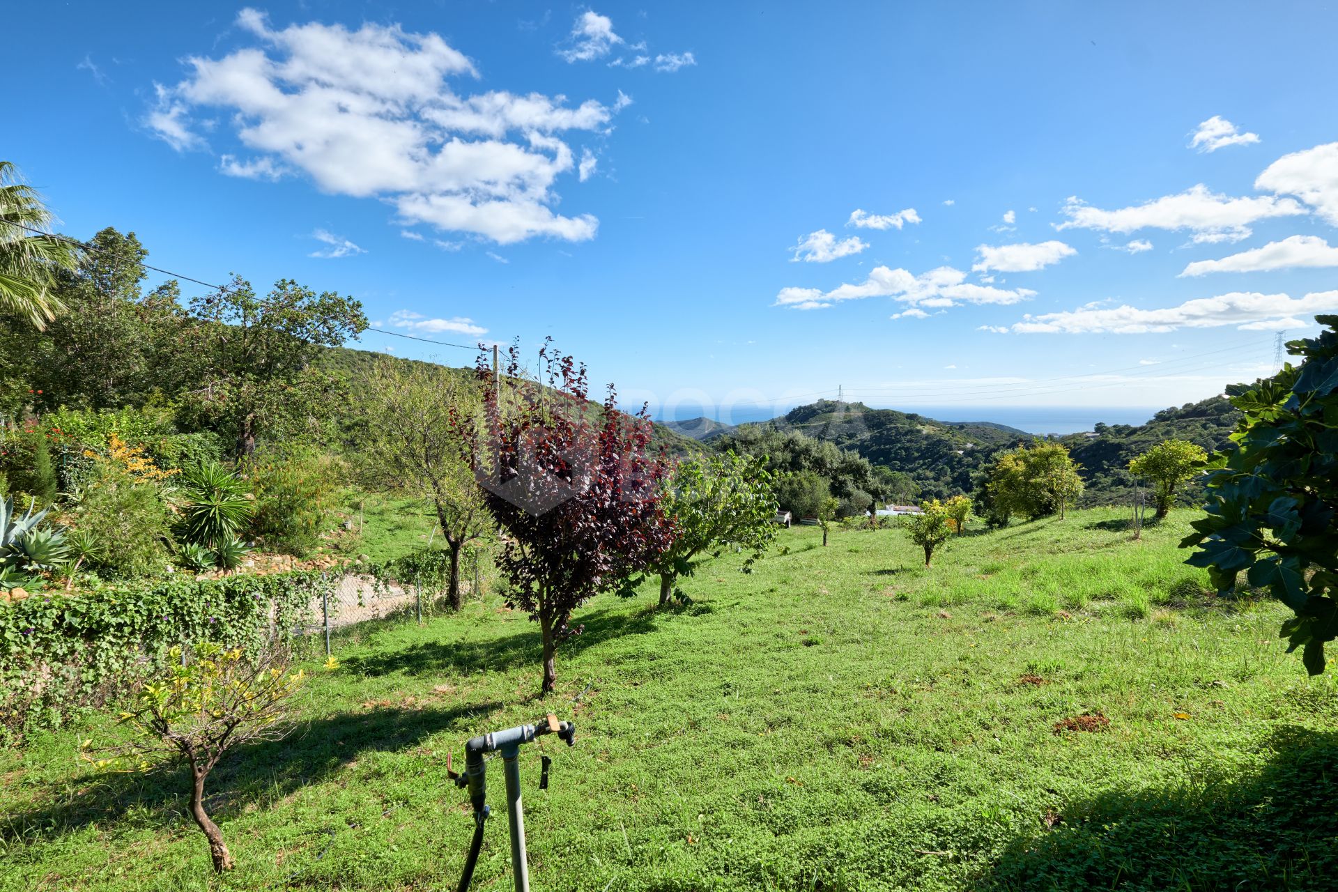 Finca in the Mountainside of Los Reales