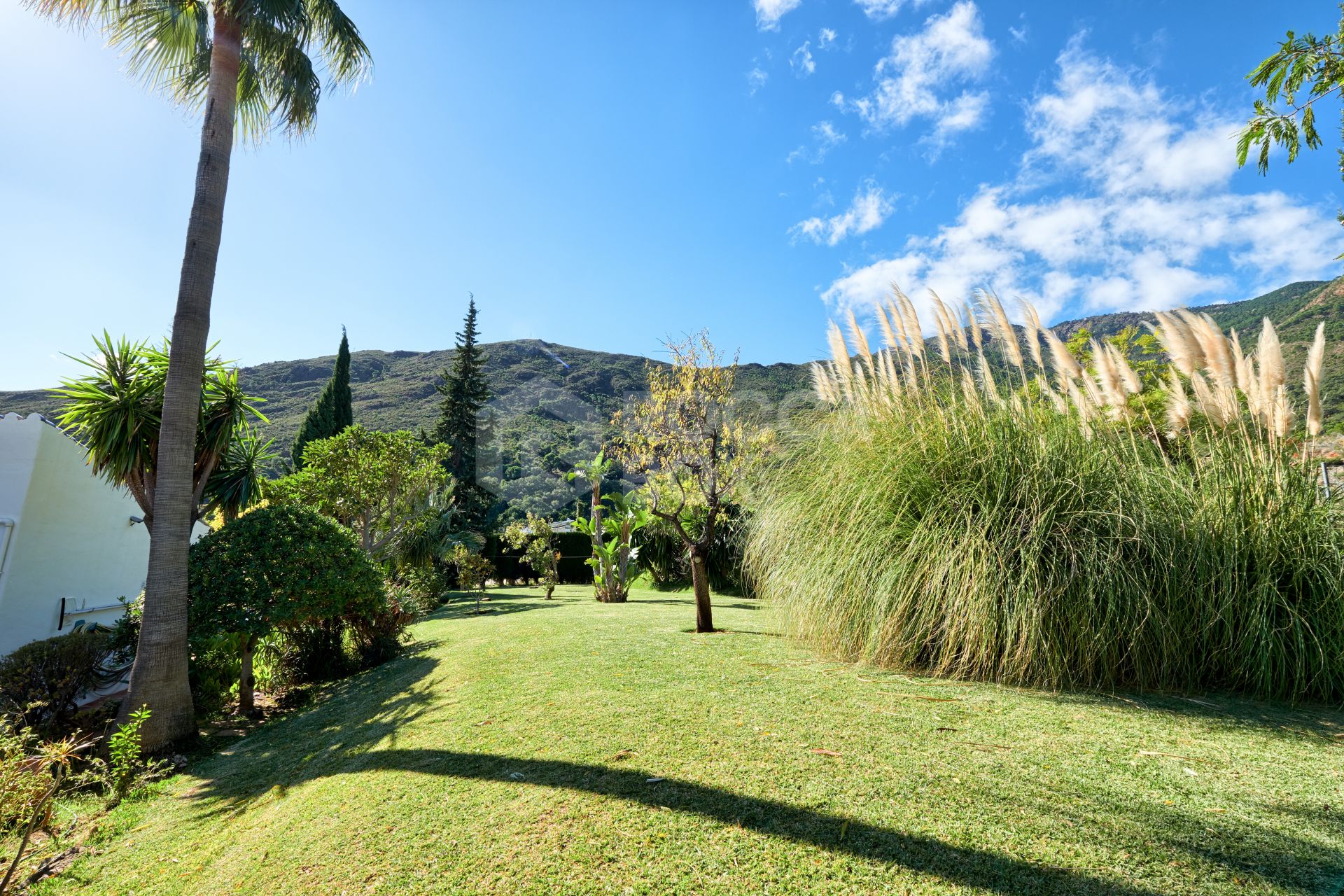 Finca in the Mountainside of Los Reales