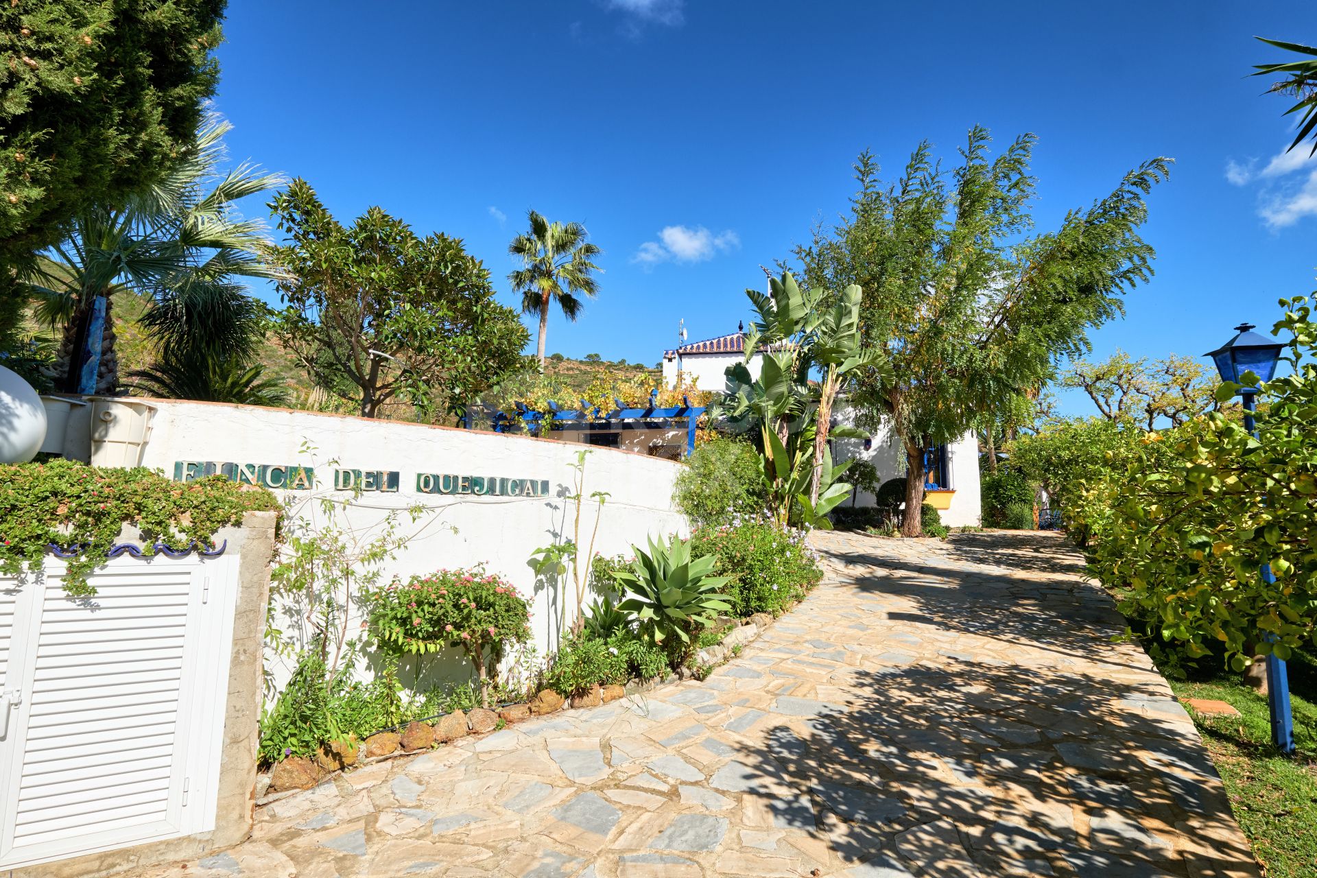 Finca in the Mountainside of Los Reales