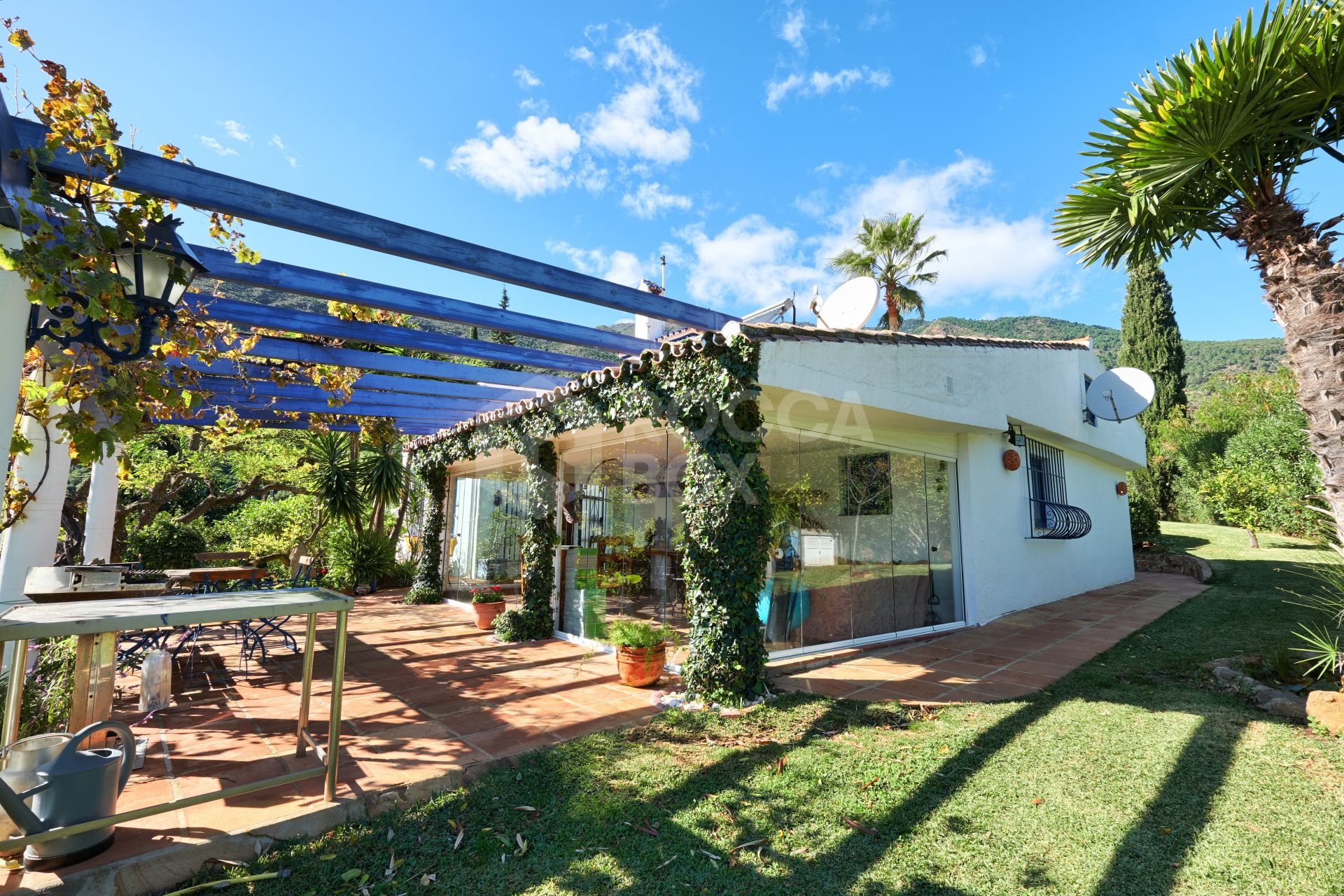 Finca in the Mountainside of Los Reales