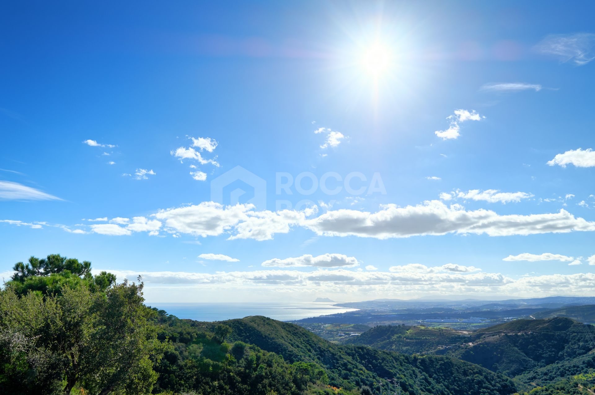 Finca in the Mountainside of Los Reales