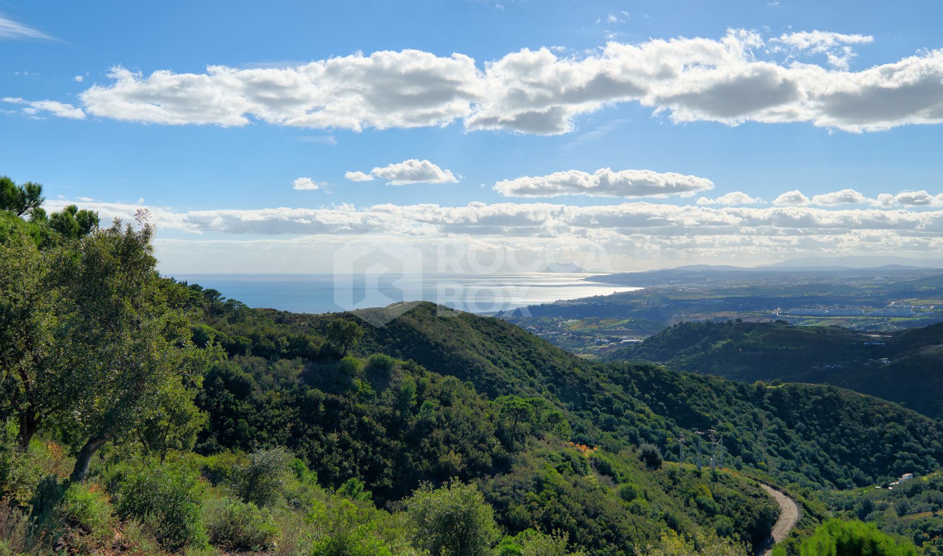 Finca in the Mountainside of Los Reales