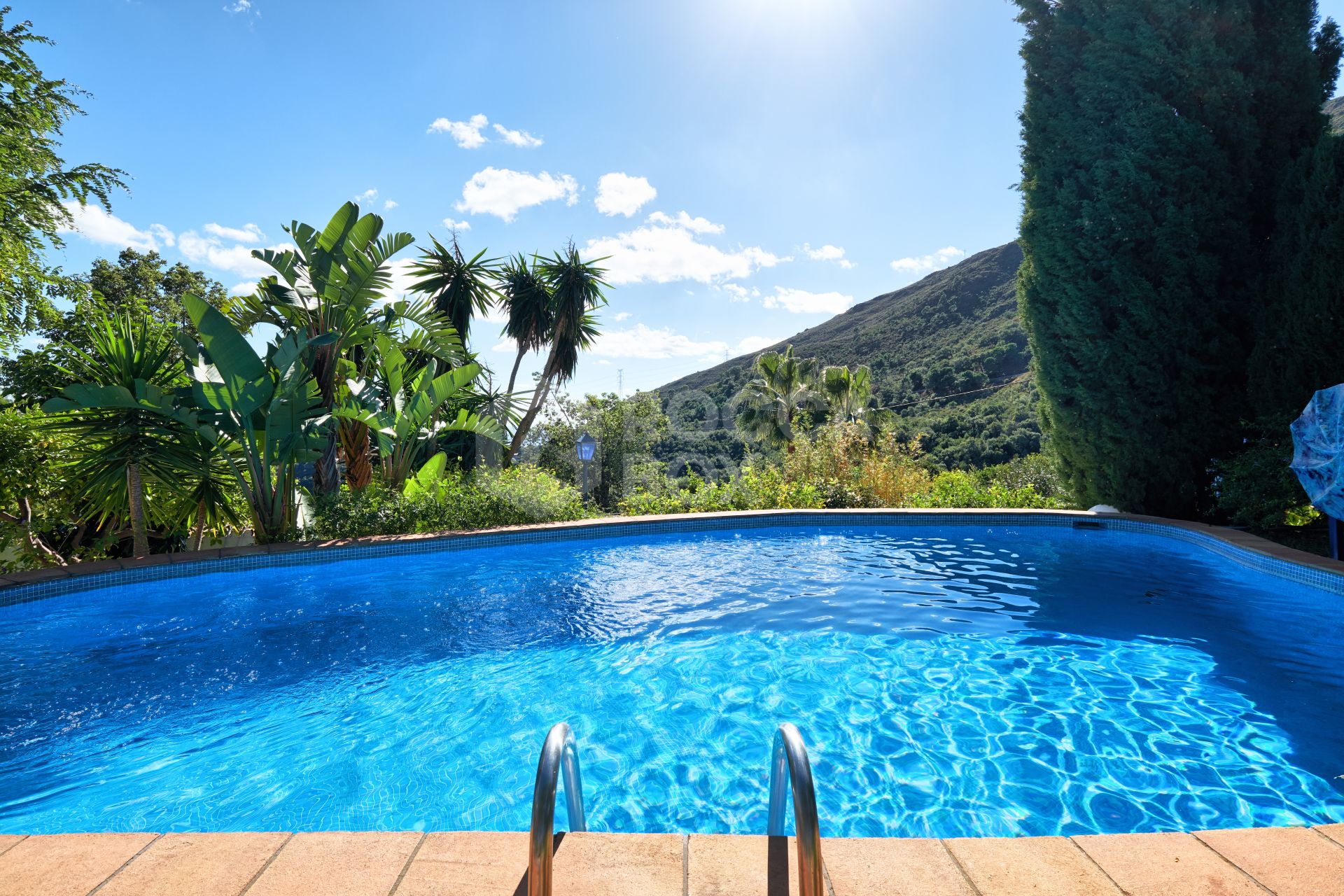 Finca in the Mountainside of Los Reales