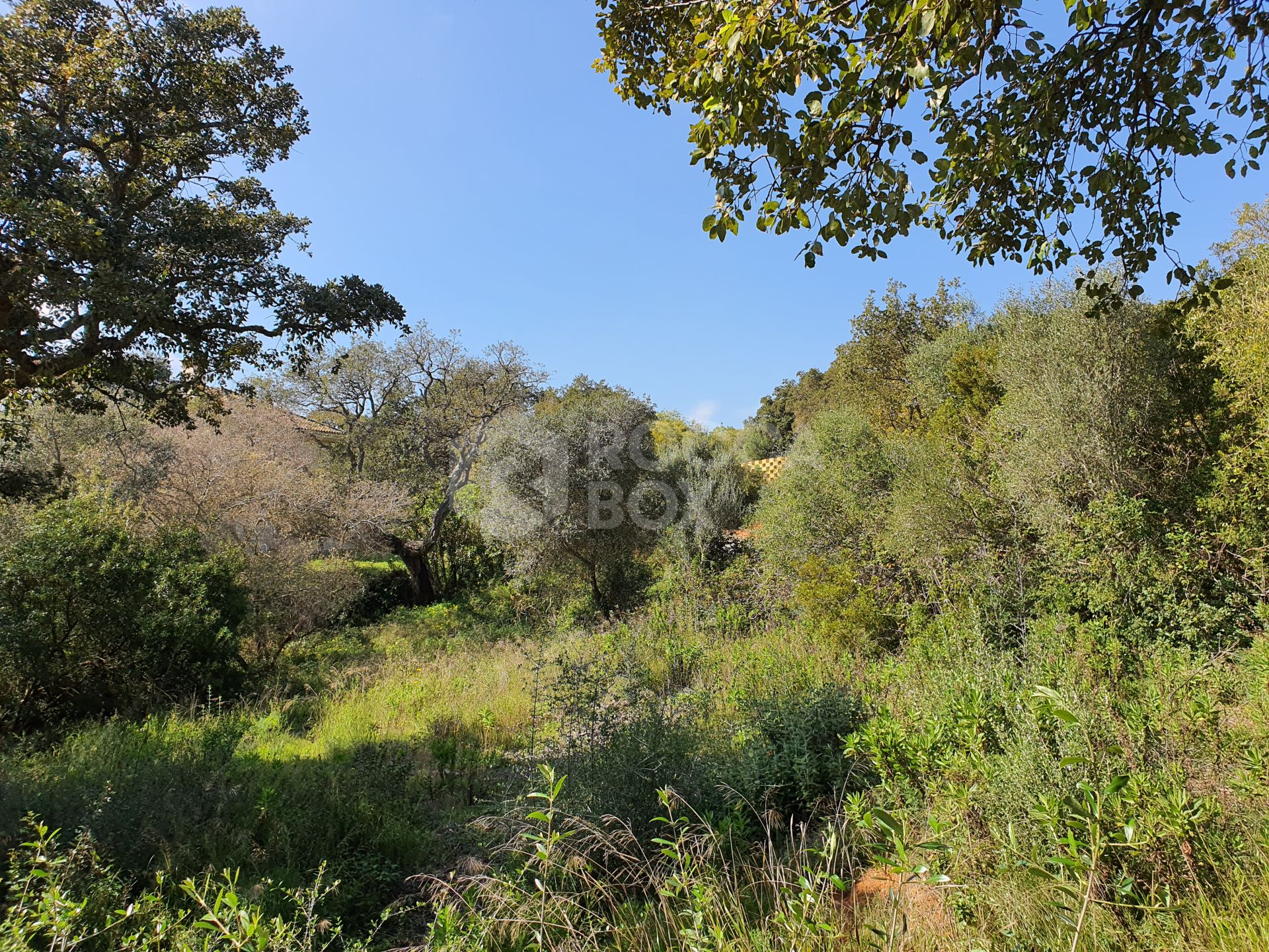 Ideal Plot with Western Green Zone Boundary, Proximity to Schools and Exclusive Golf Clubs