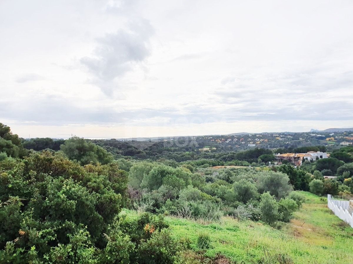 Residential plot in Sotogrande Alto