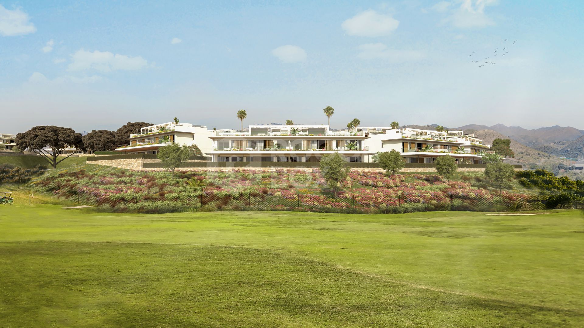 Discover Your Dream Home In Santa Clara: Where Luxury Meets Serenity