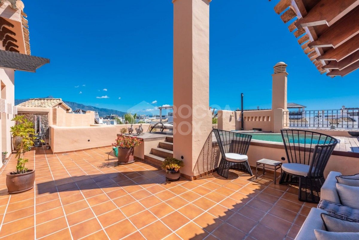 Fantastic duplex penthouse in San Pedro for sale