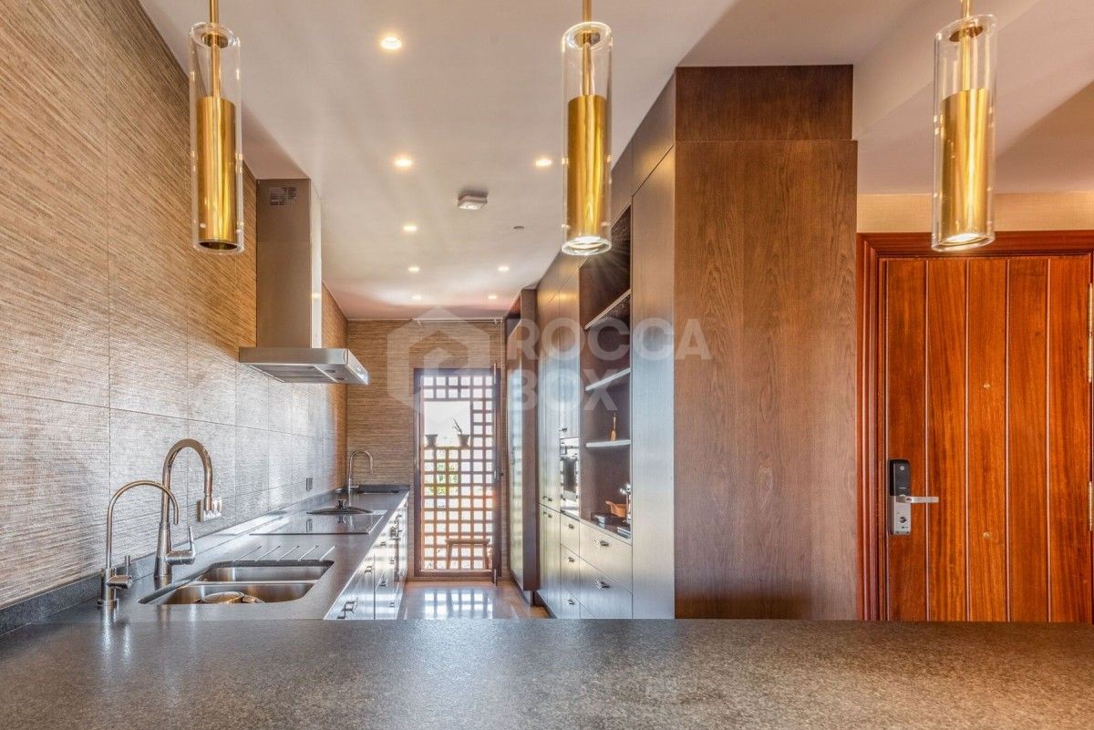 Fantastic duplex penthouse in San Pedro for sale