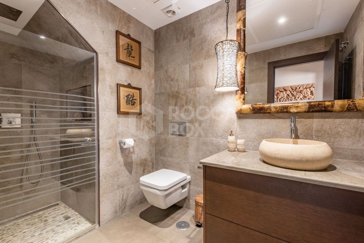 Fantastic duplex penthouse in San Pedro for sale